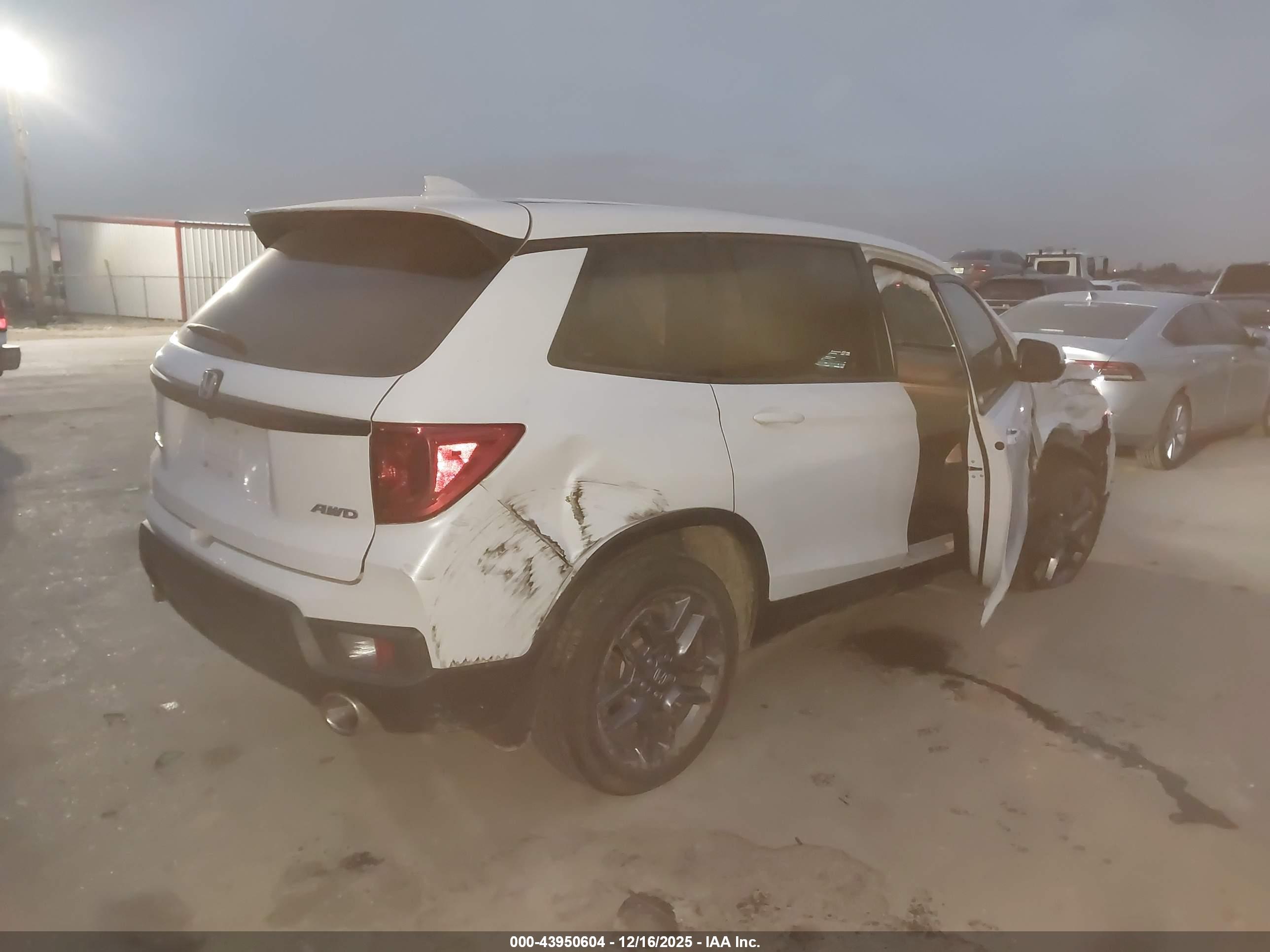 HONDA PASSPORT image 6