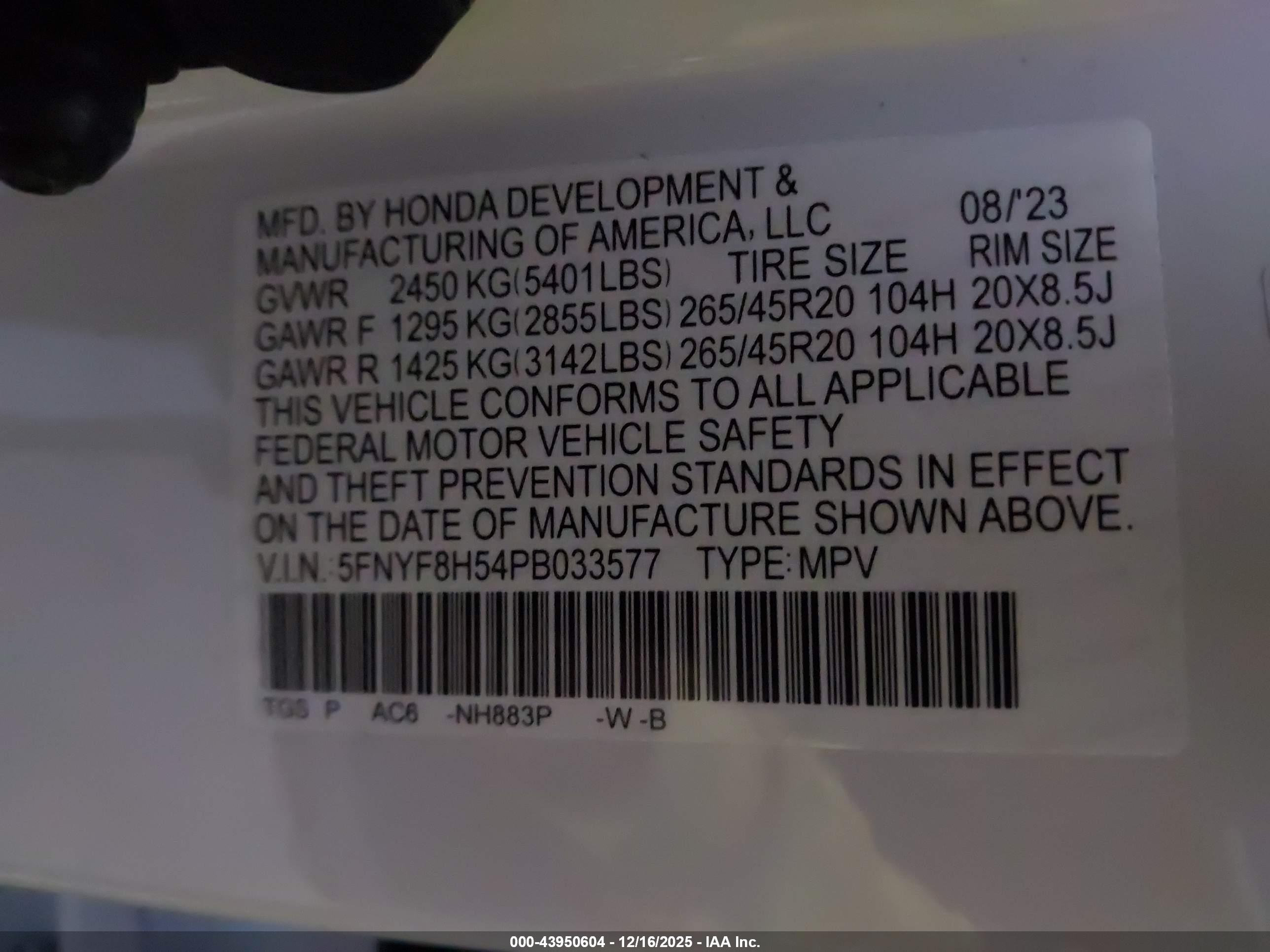 HONDA PASSPORT image 9
