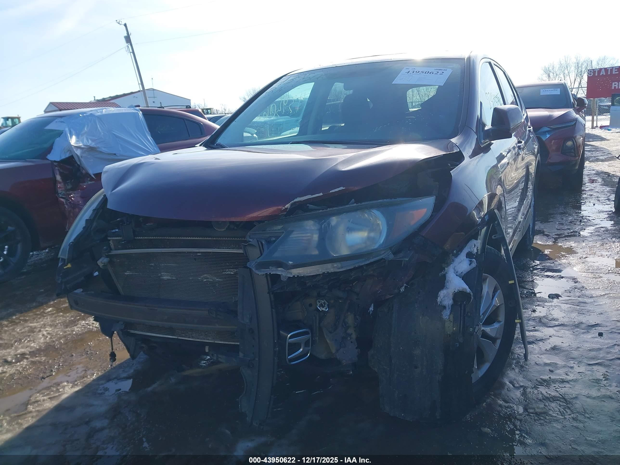 HONDA CR-V image 6