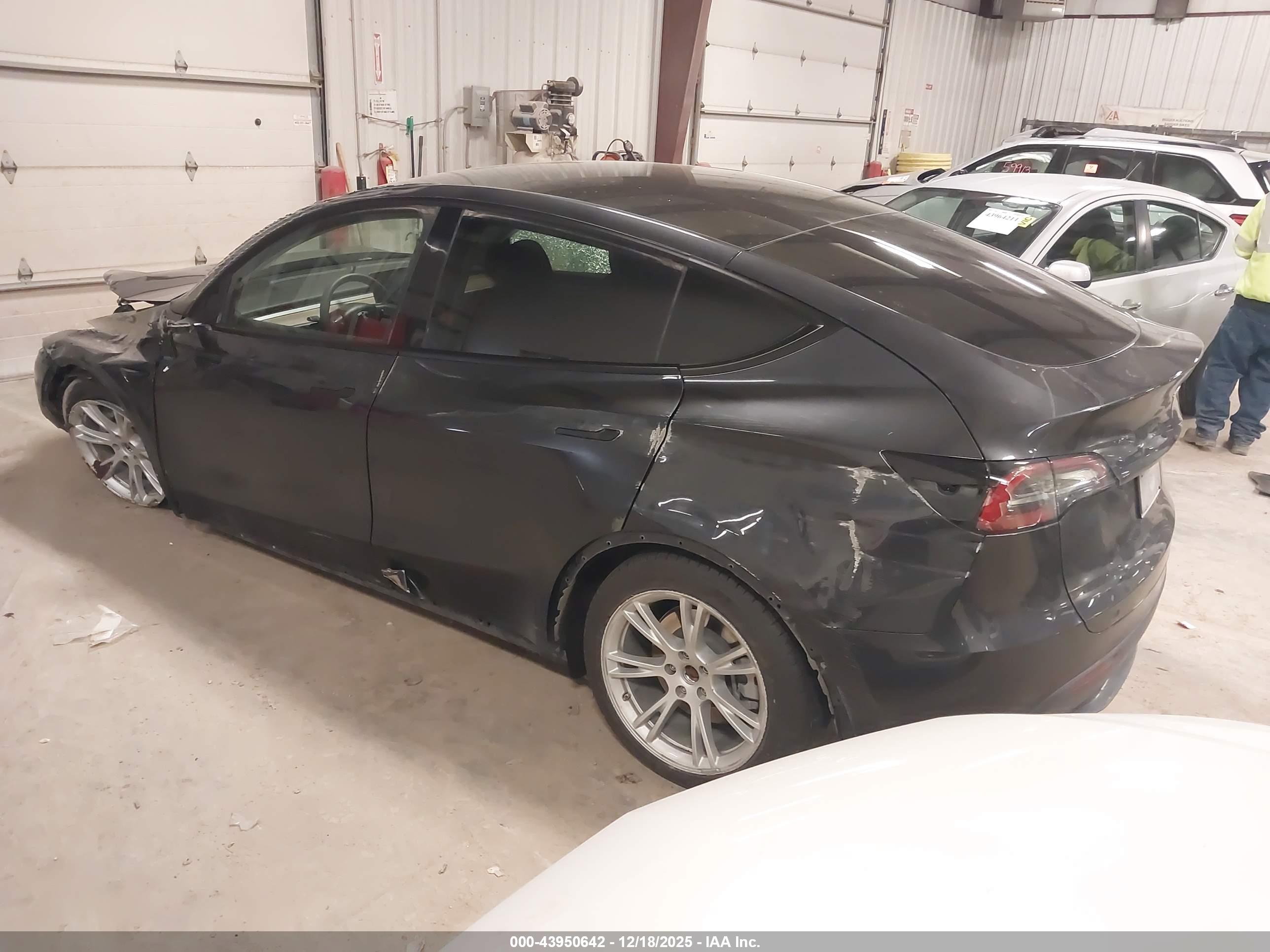 TESLA MODEL image 3