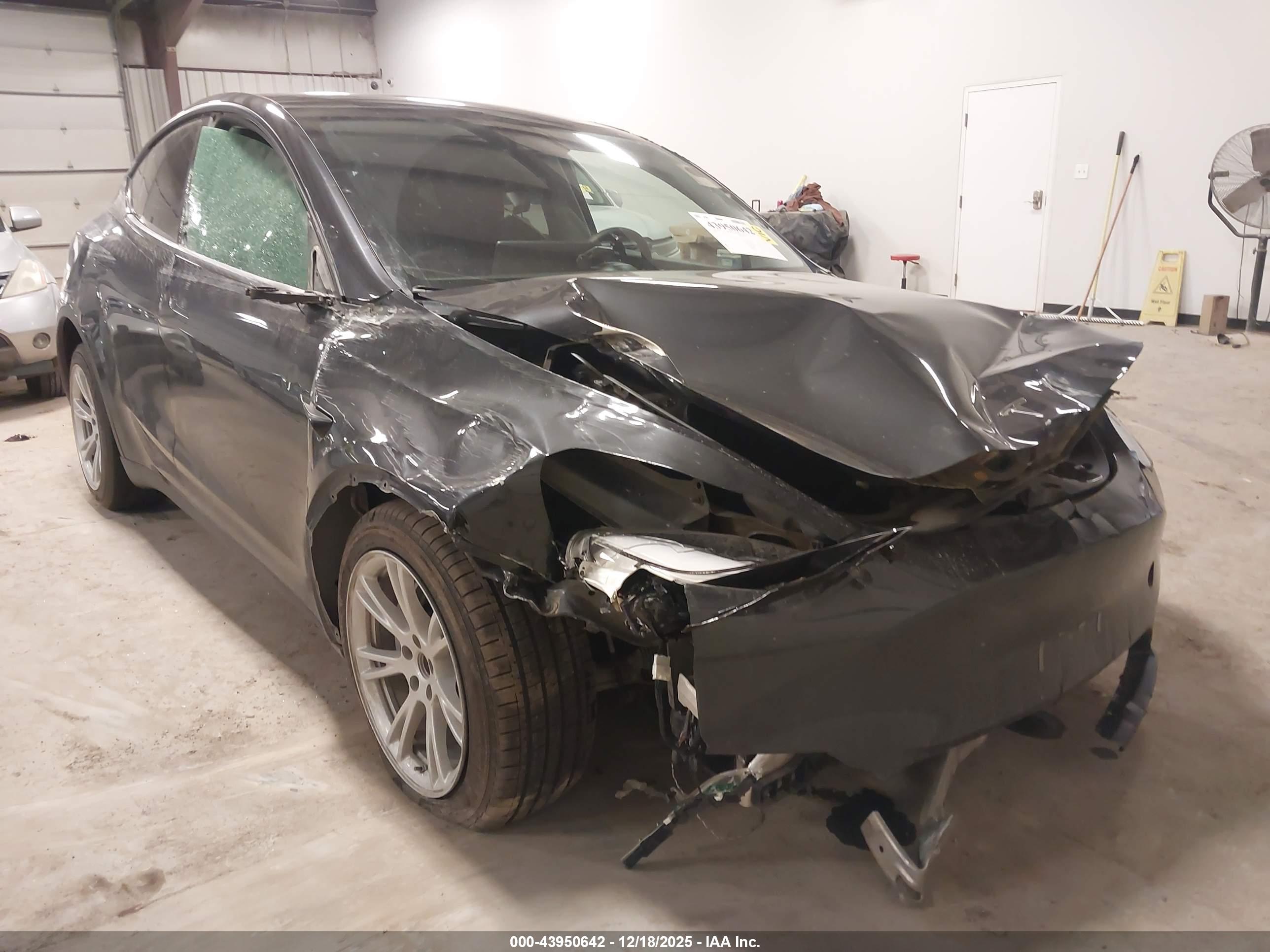 TESLA MODEL image 6