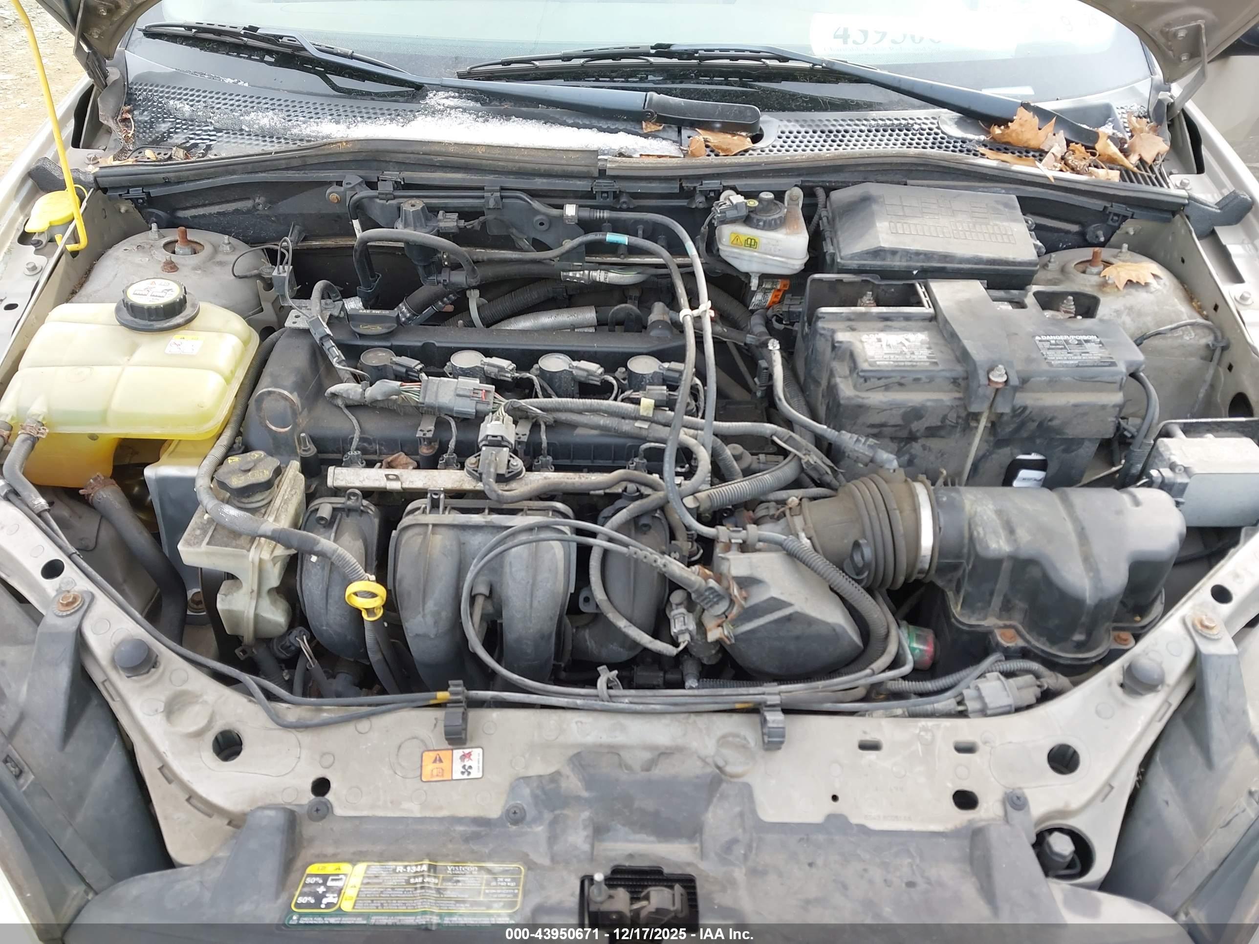 FORD FOCUS image 10