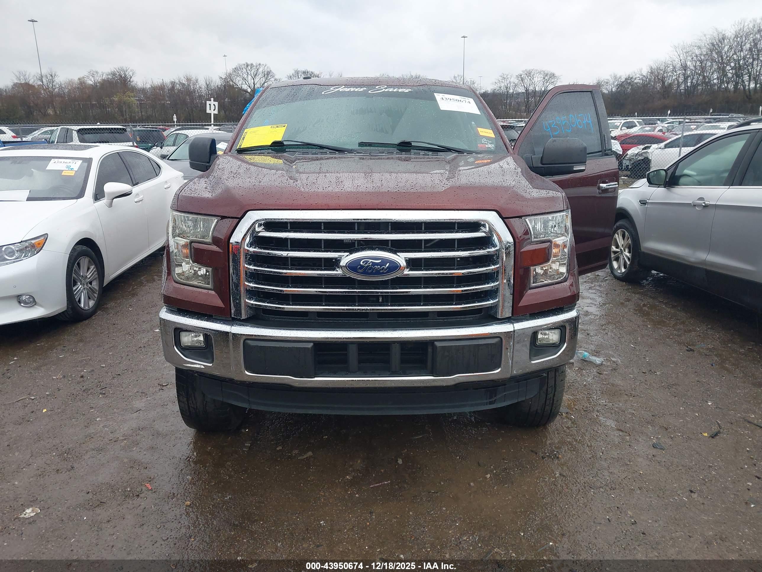 FORD F-150 image 6