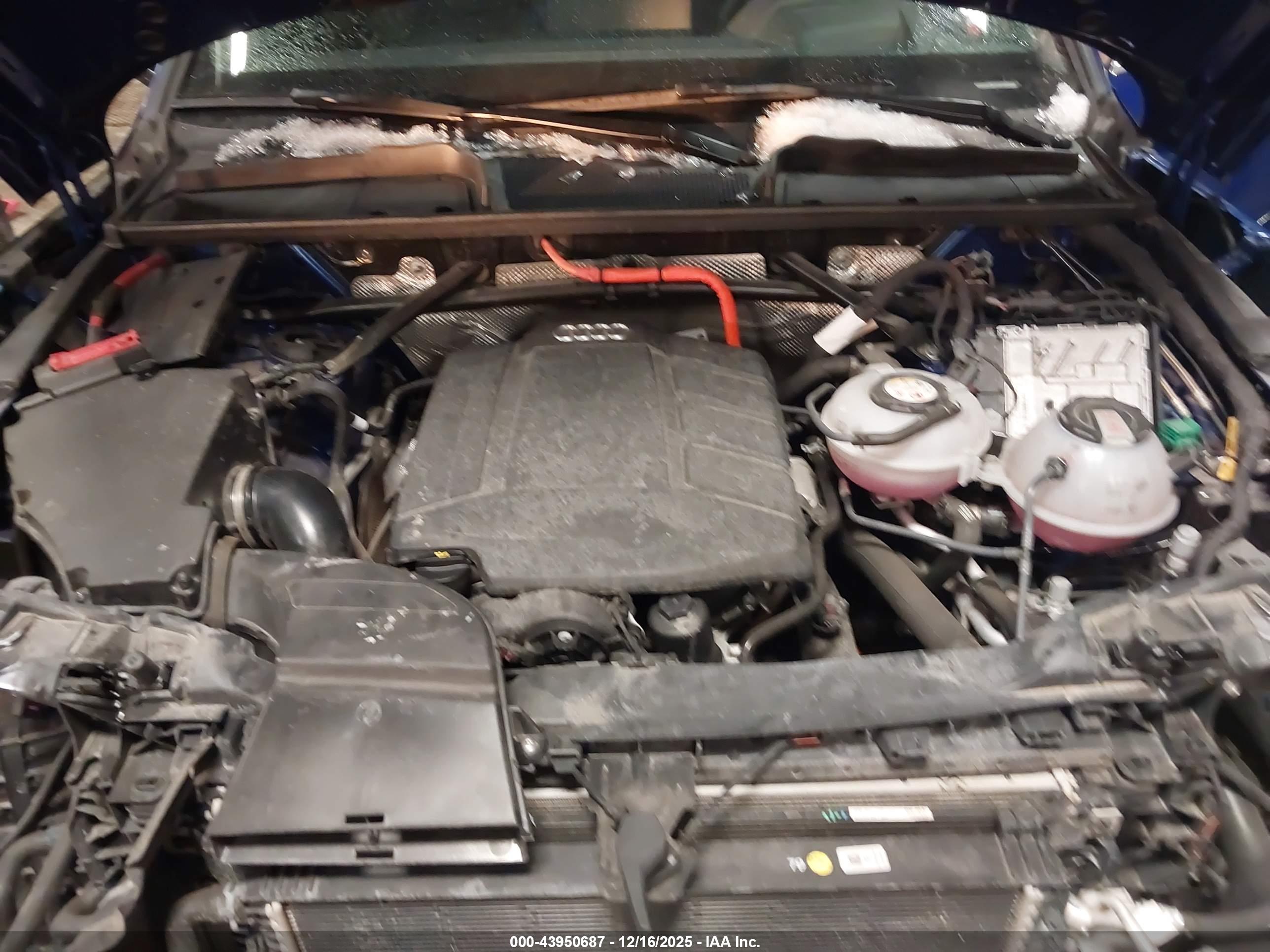 AUDI Q5 image 10