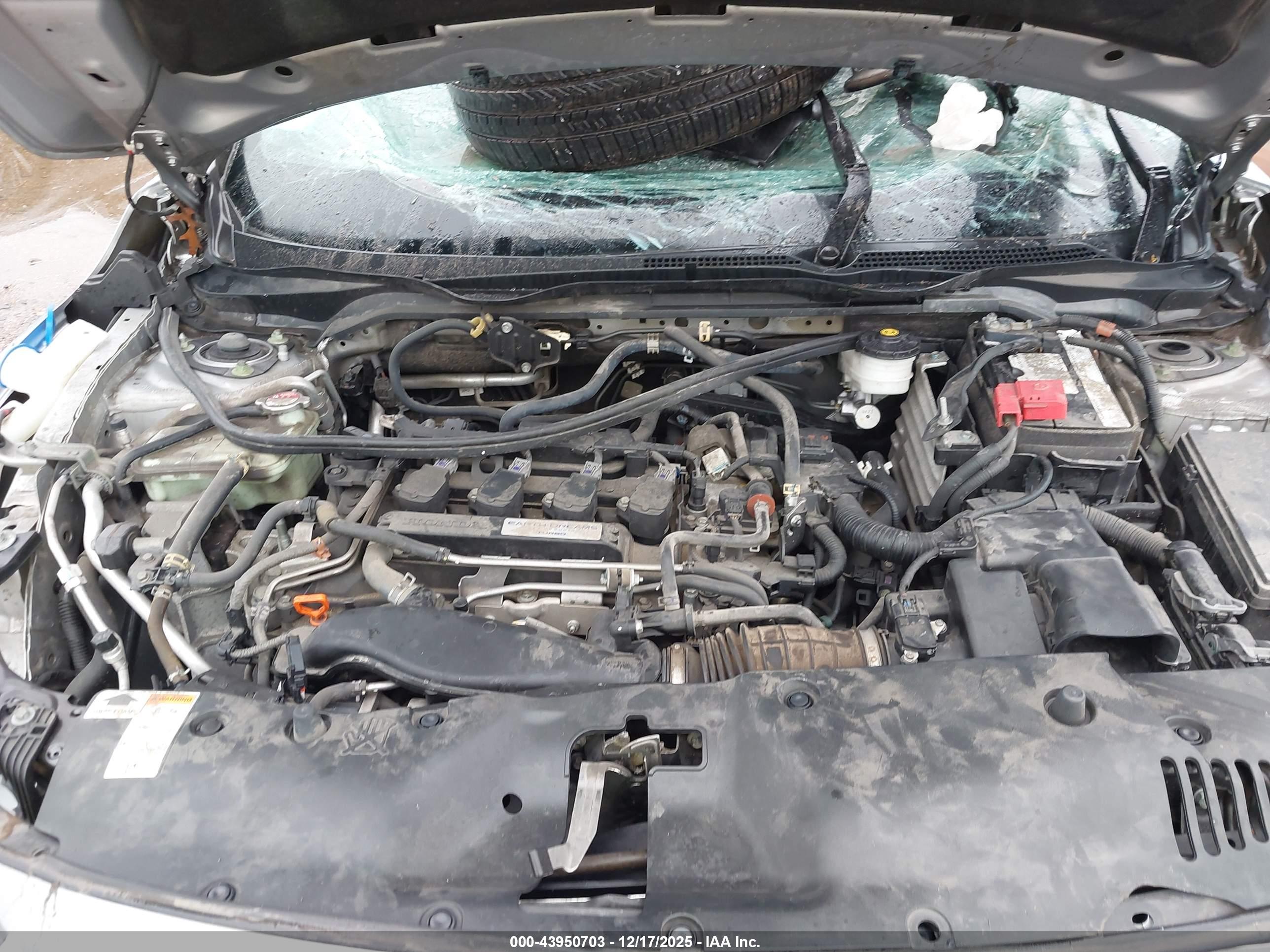 HONDA CIVIC image 10