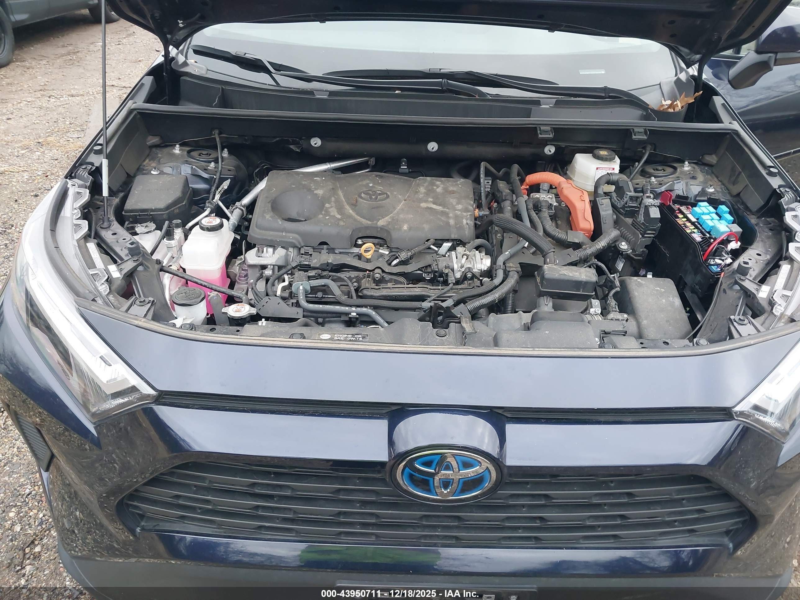 TOYOTA RAV4 image 10