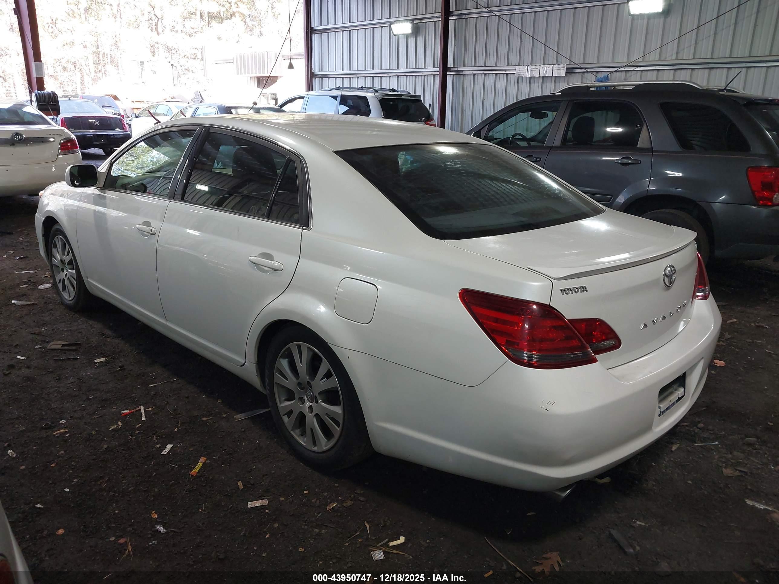 TOYOTA AVALON image 3