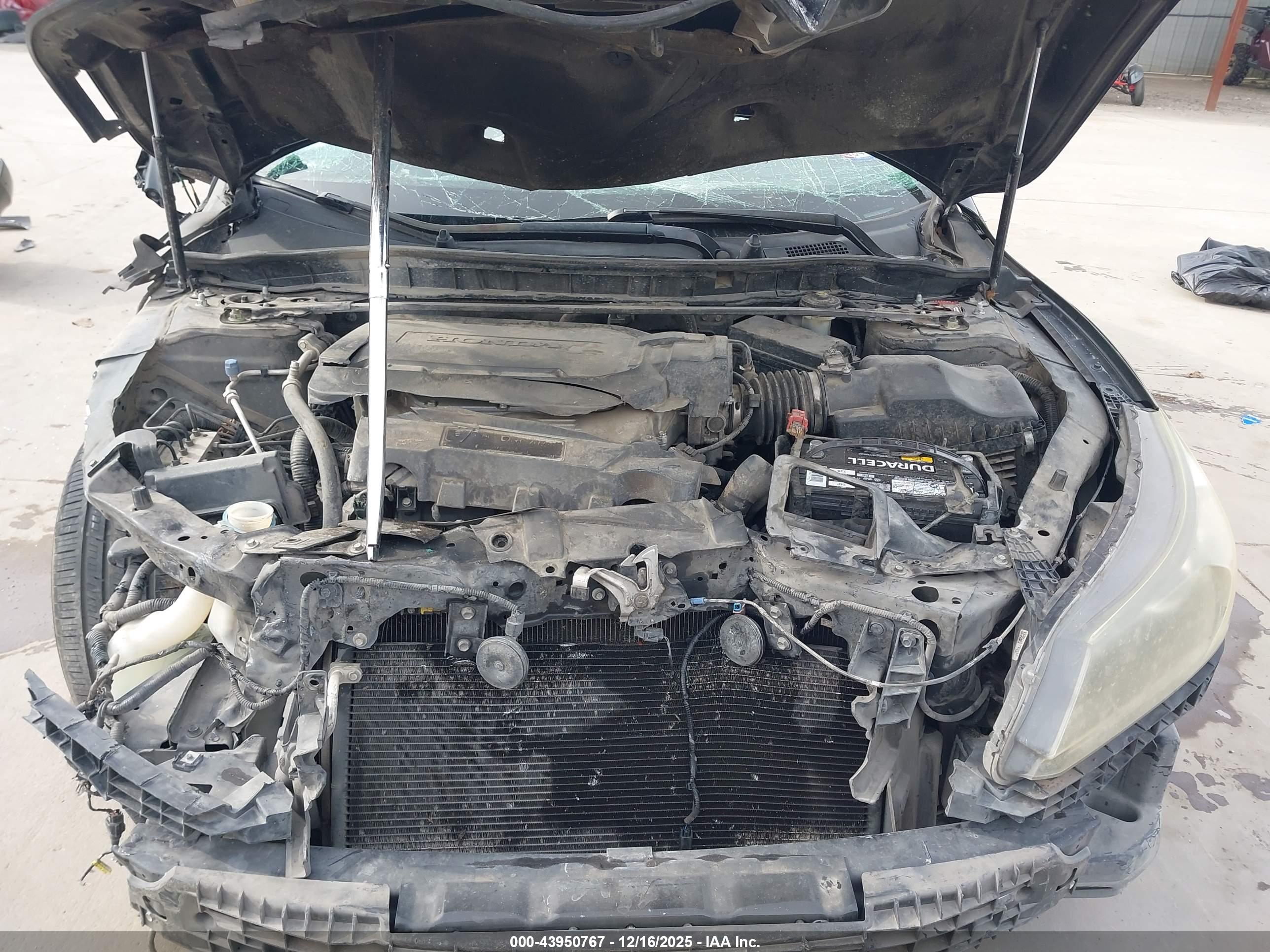 HONDA ACCORD image 10