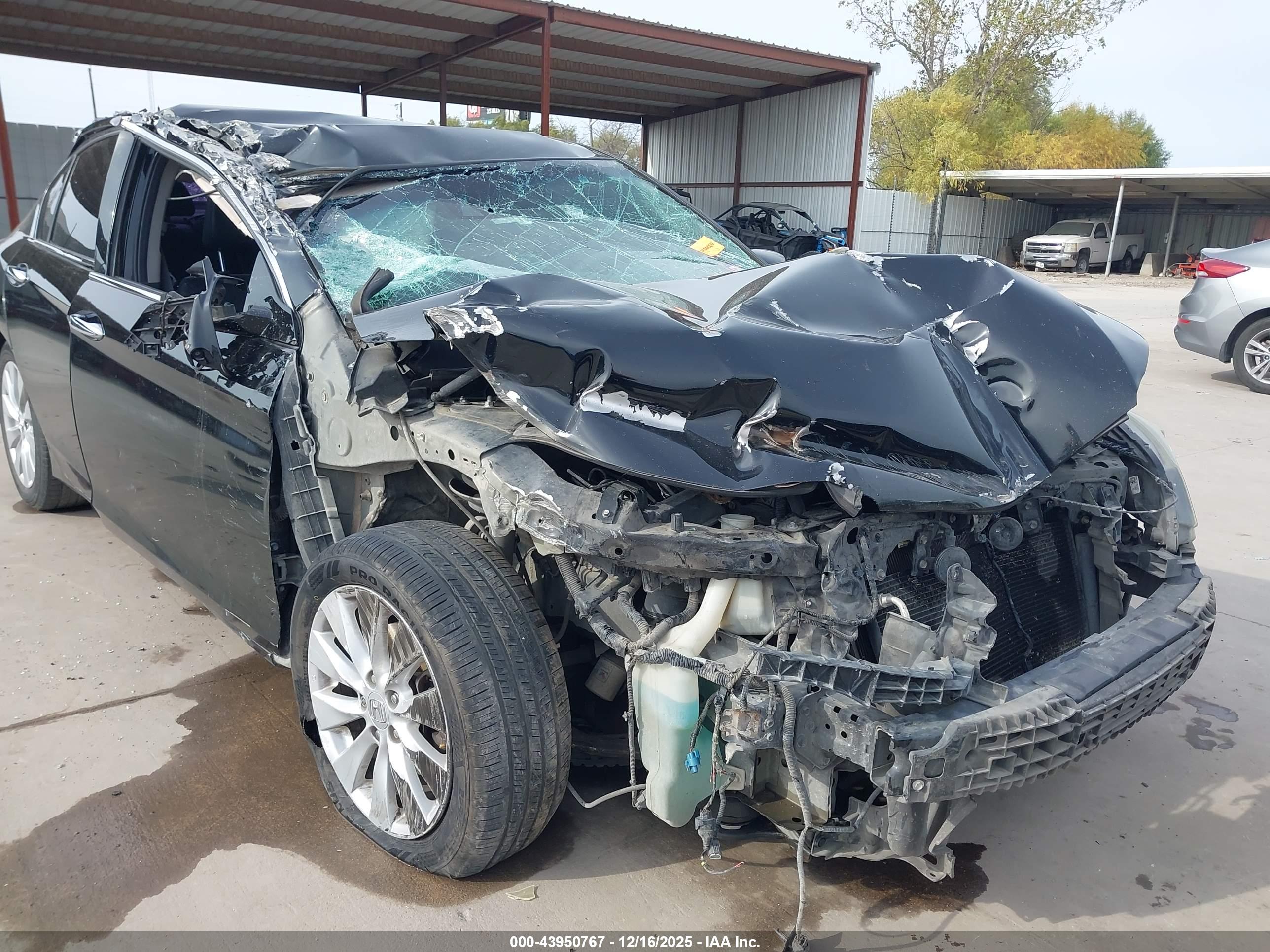 HONDA ACCORD image 6