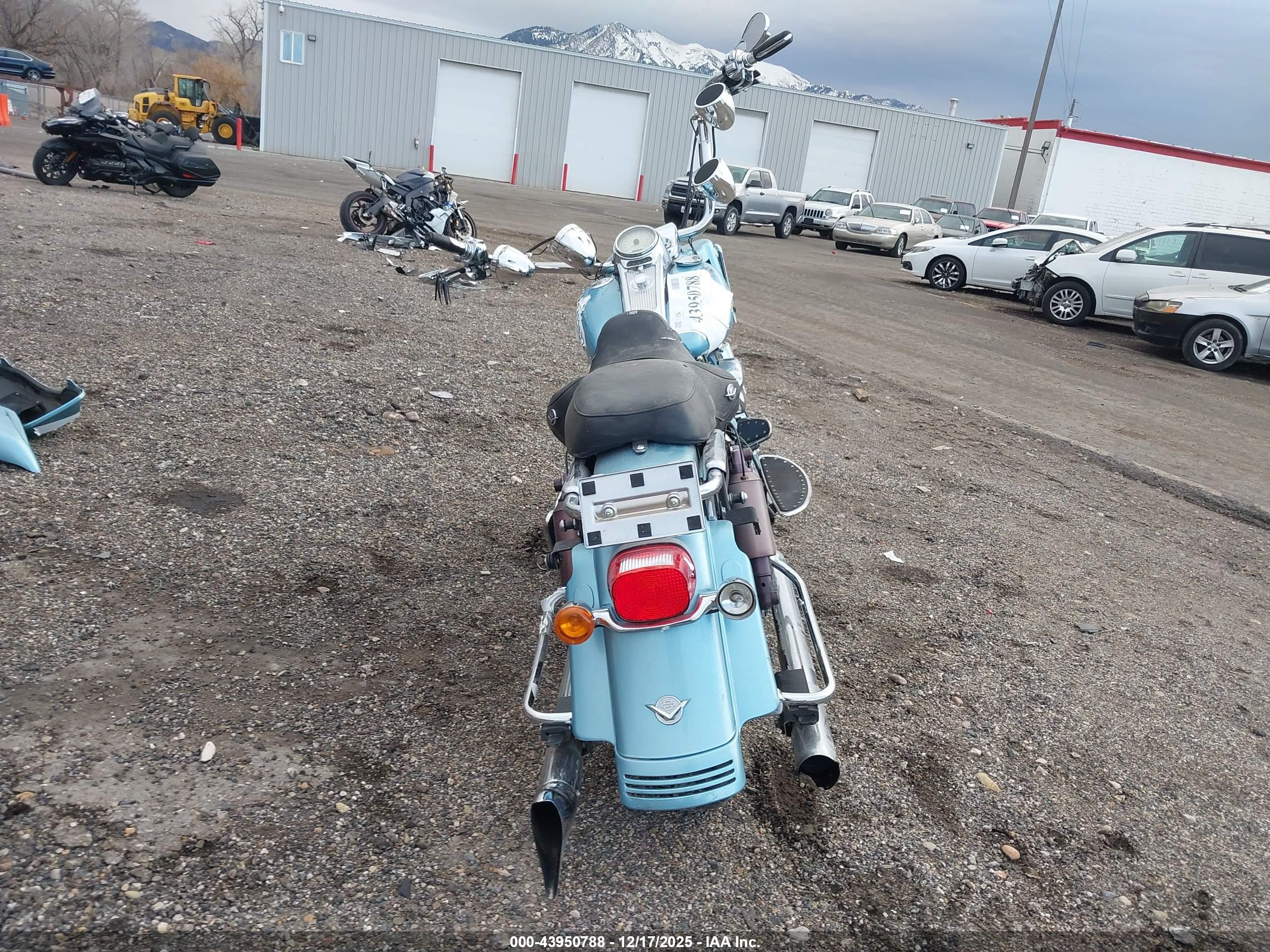 HARLEY-DAVIDSON FLHRS image 6