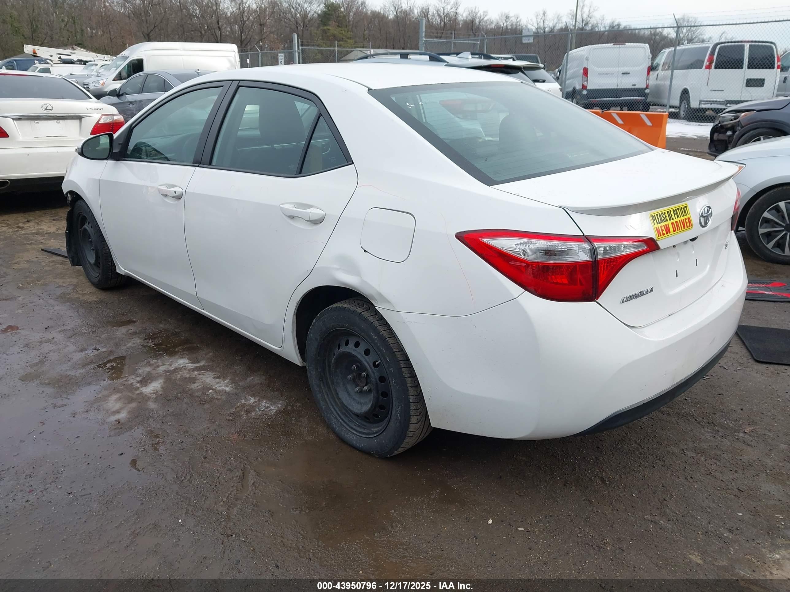 TOYOTA COROLLA image 3