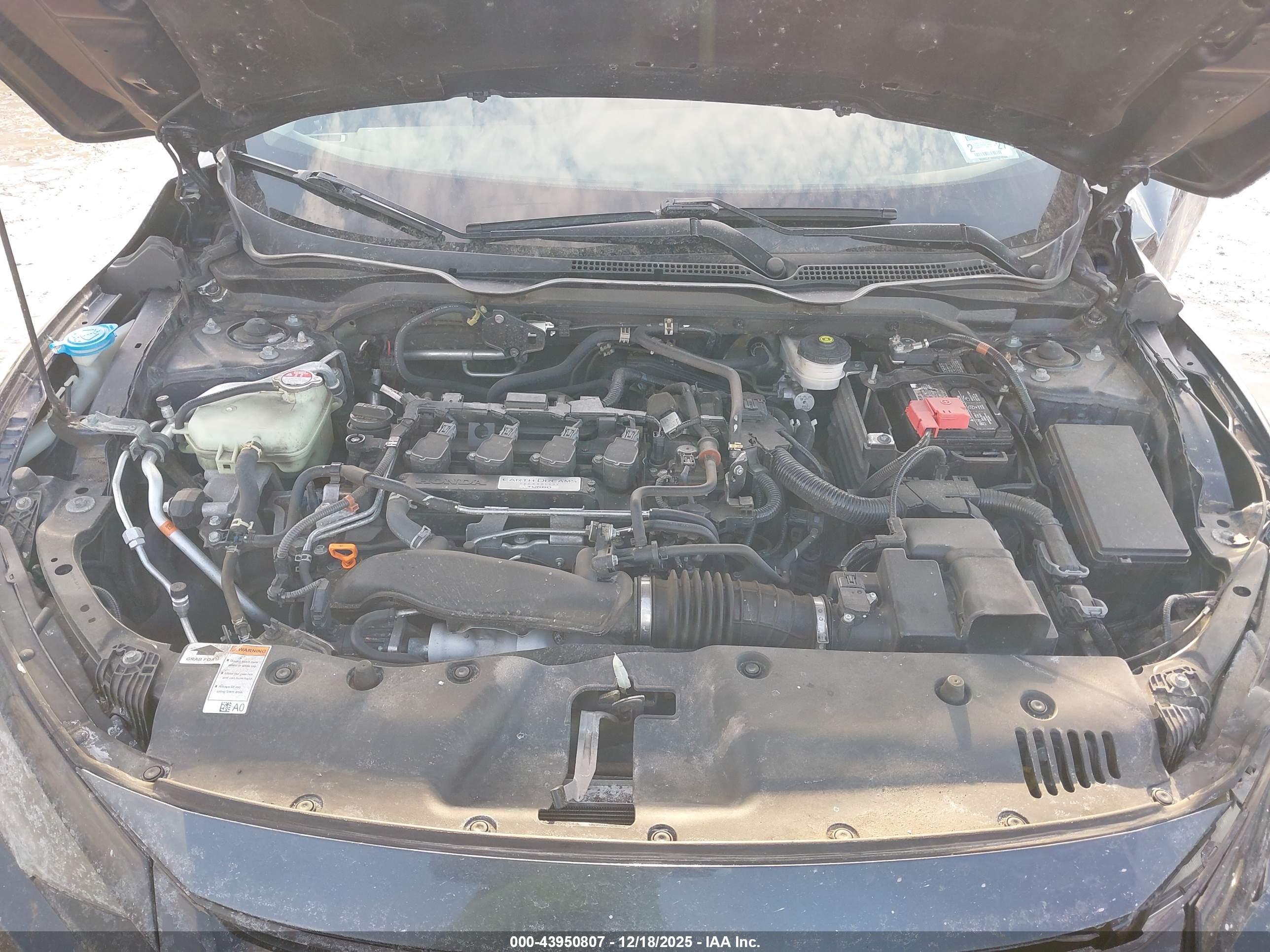 HONDA CIVIC image 10