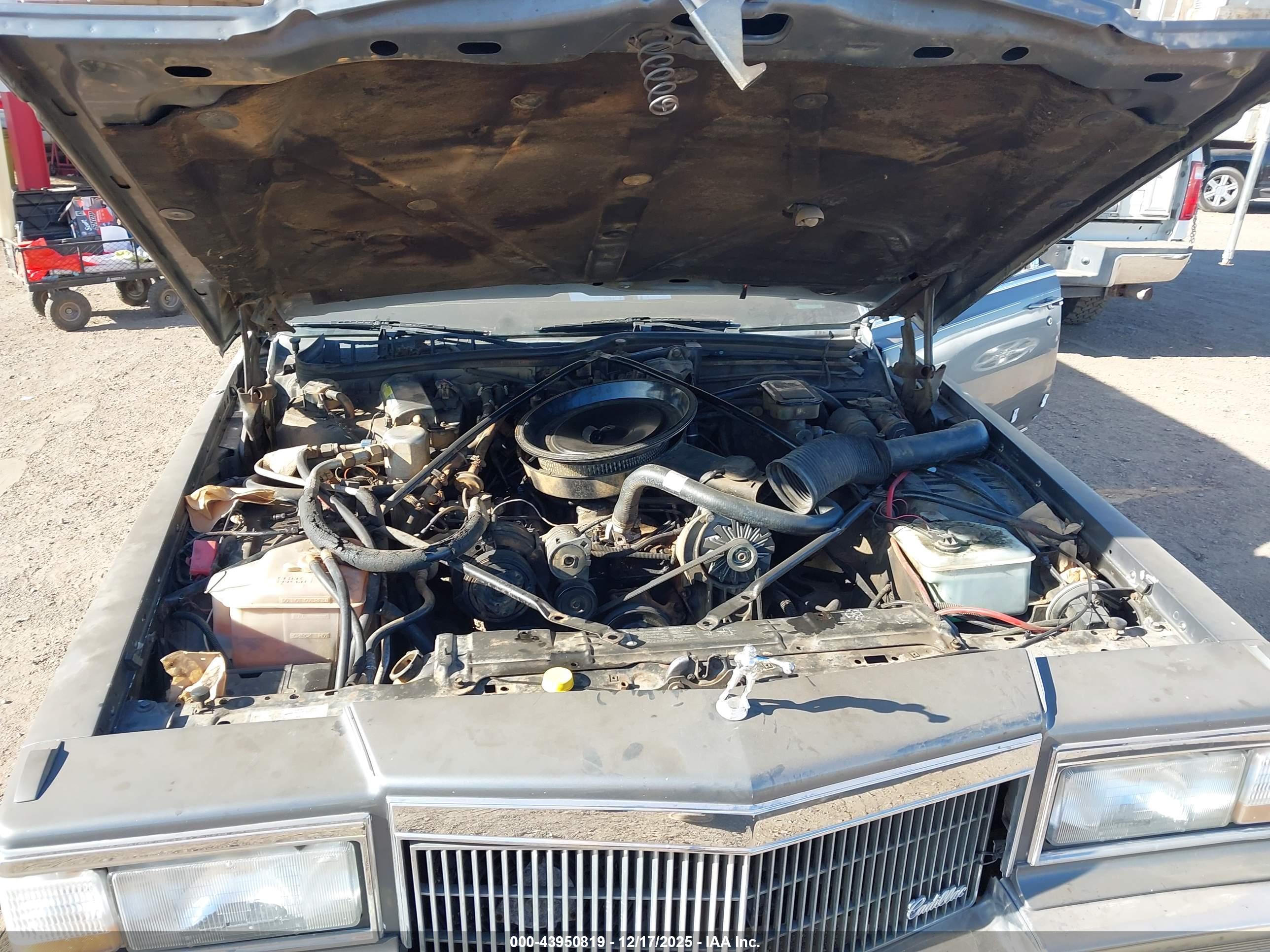 CADILLAC BROUGHAM image 10