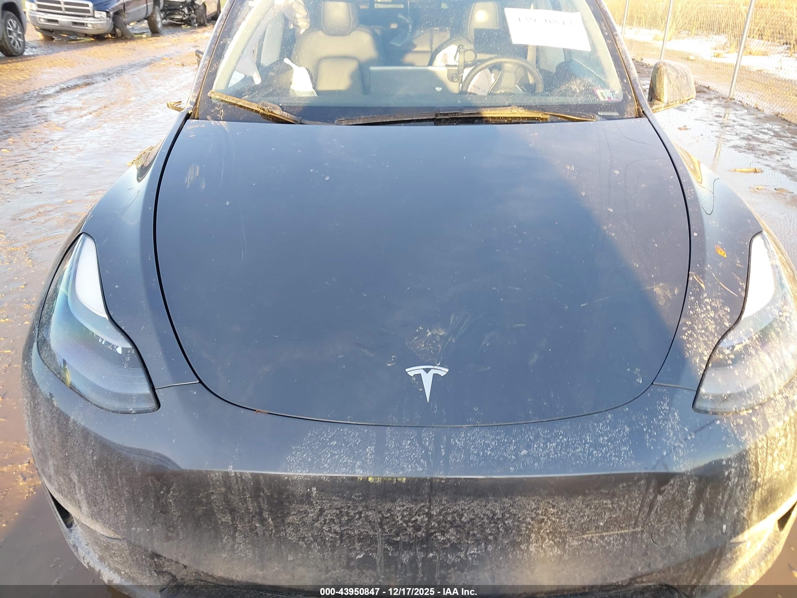 TESLA MODEL image 10