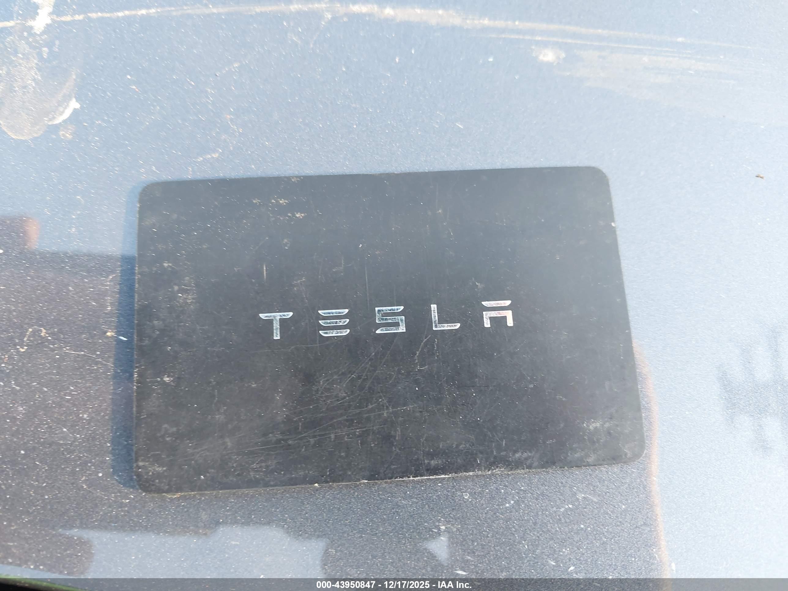 TESLA MODEL image 11