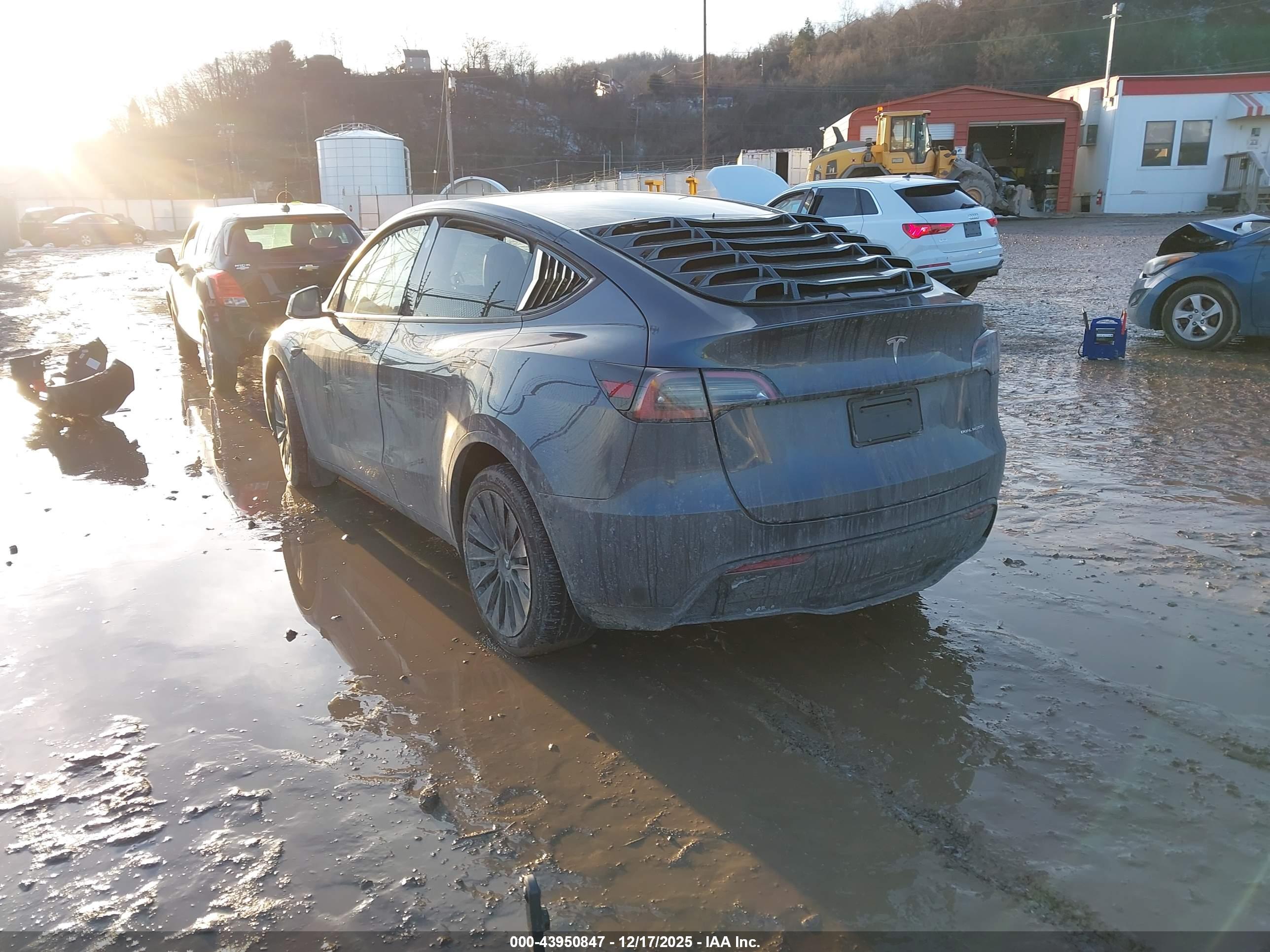TESLA MODEL image 3