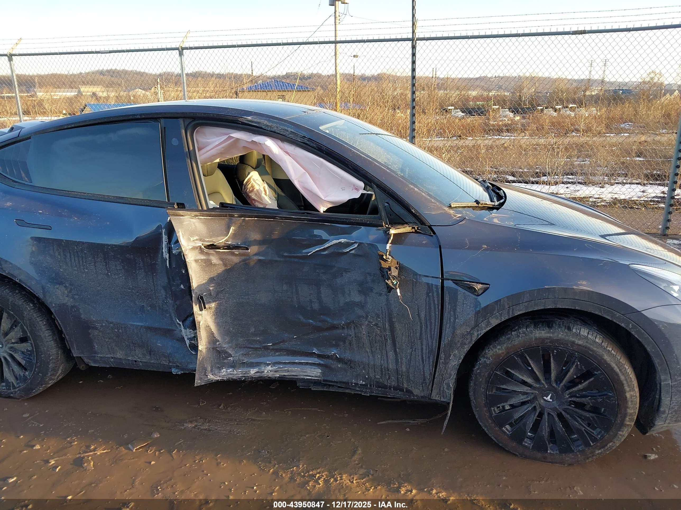 TESLA MODEL image 6