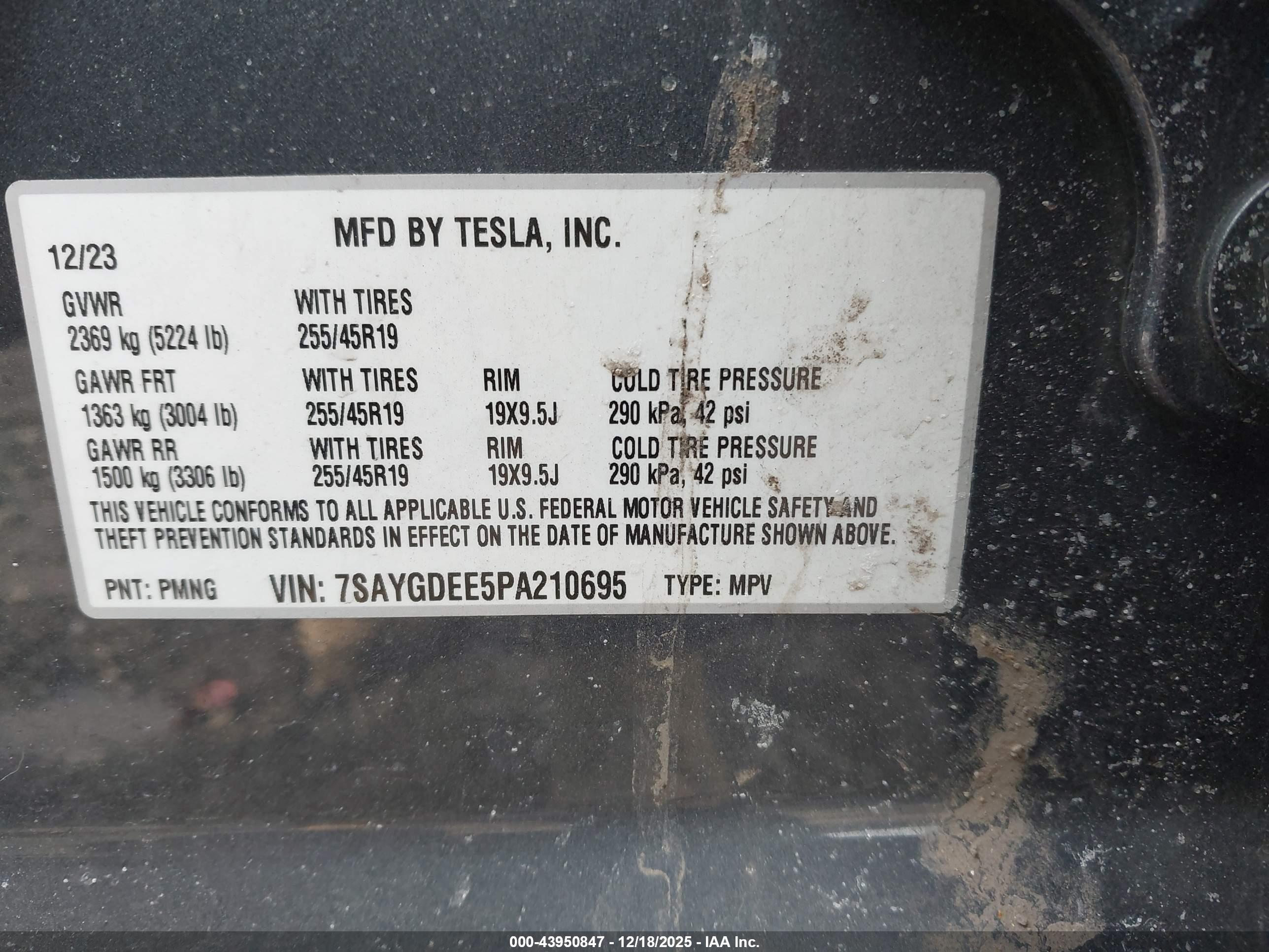 TESLA MODEL image 9