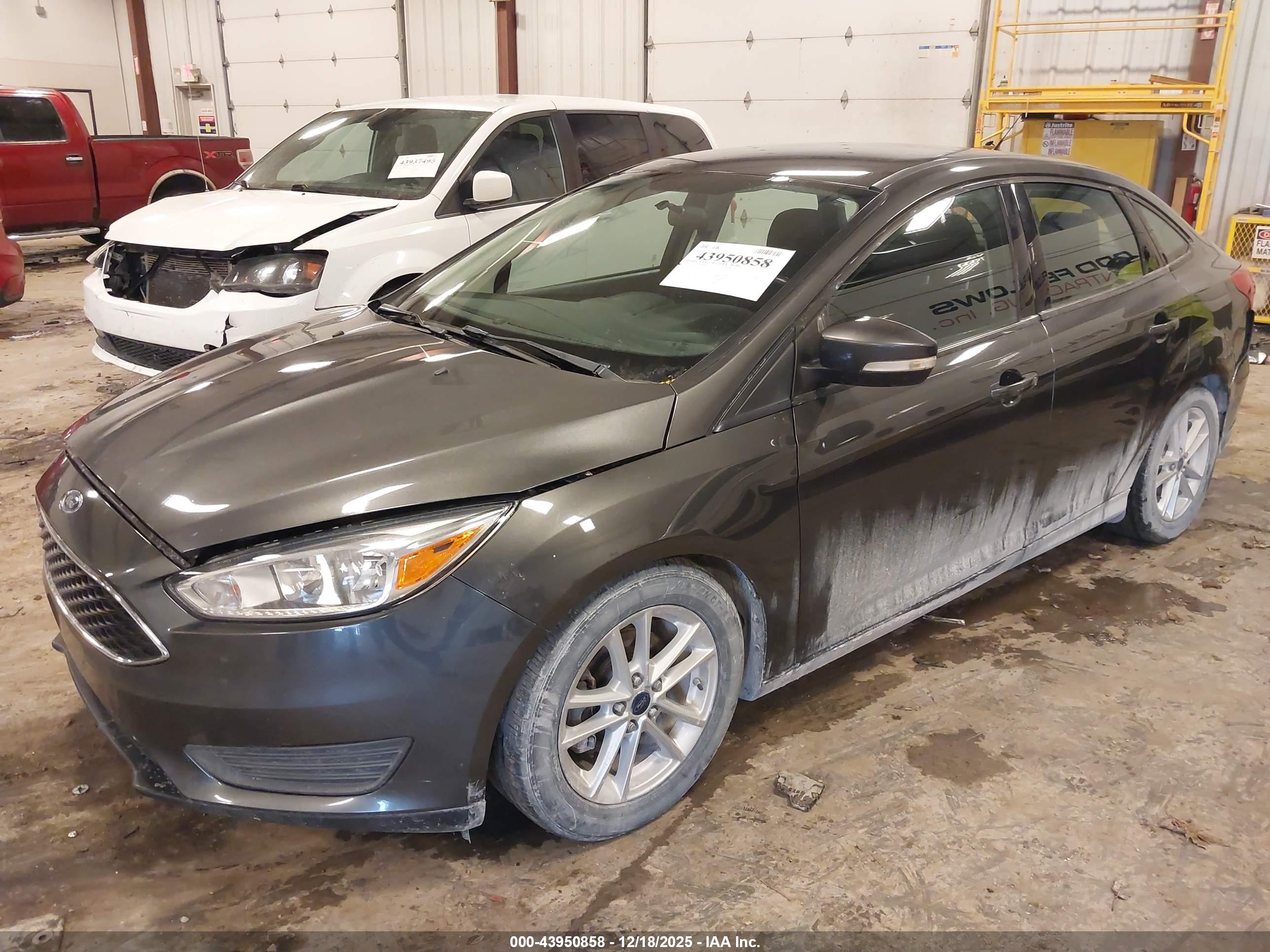 FORD FOCUS image 2