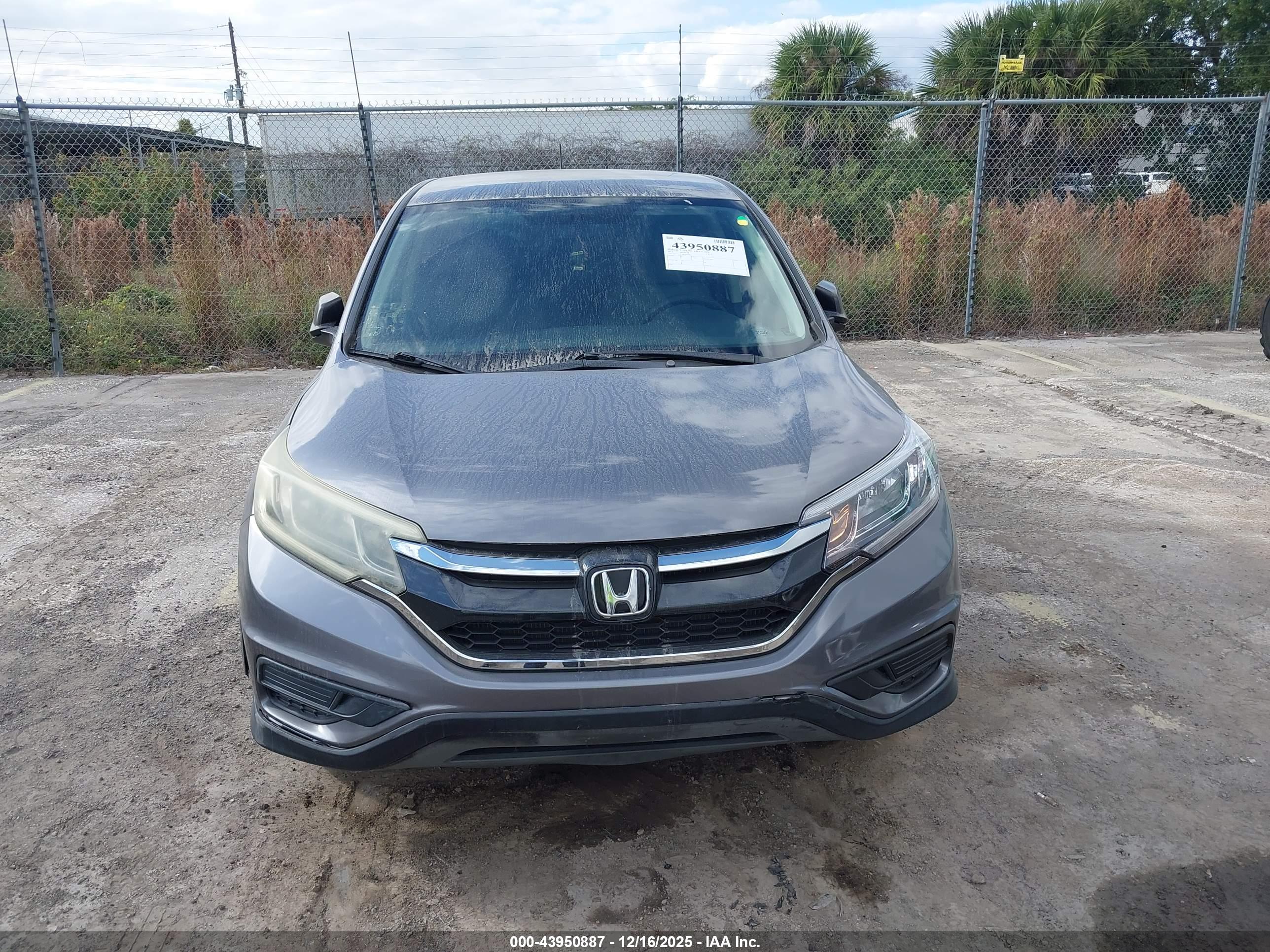 HONDA CR-V image 6