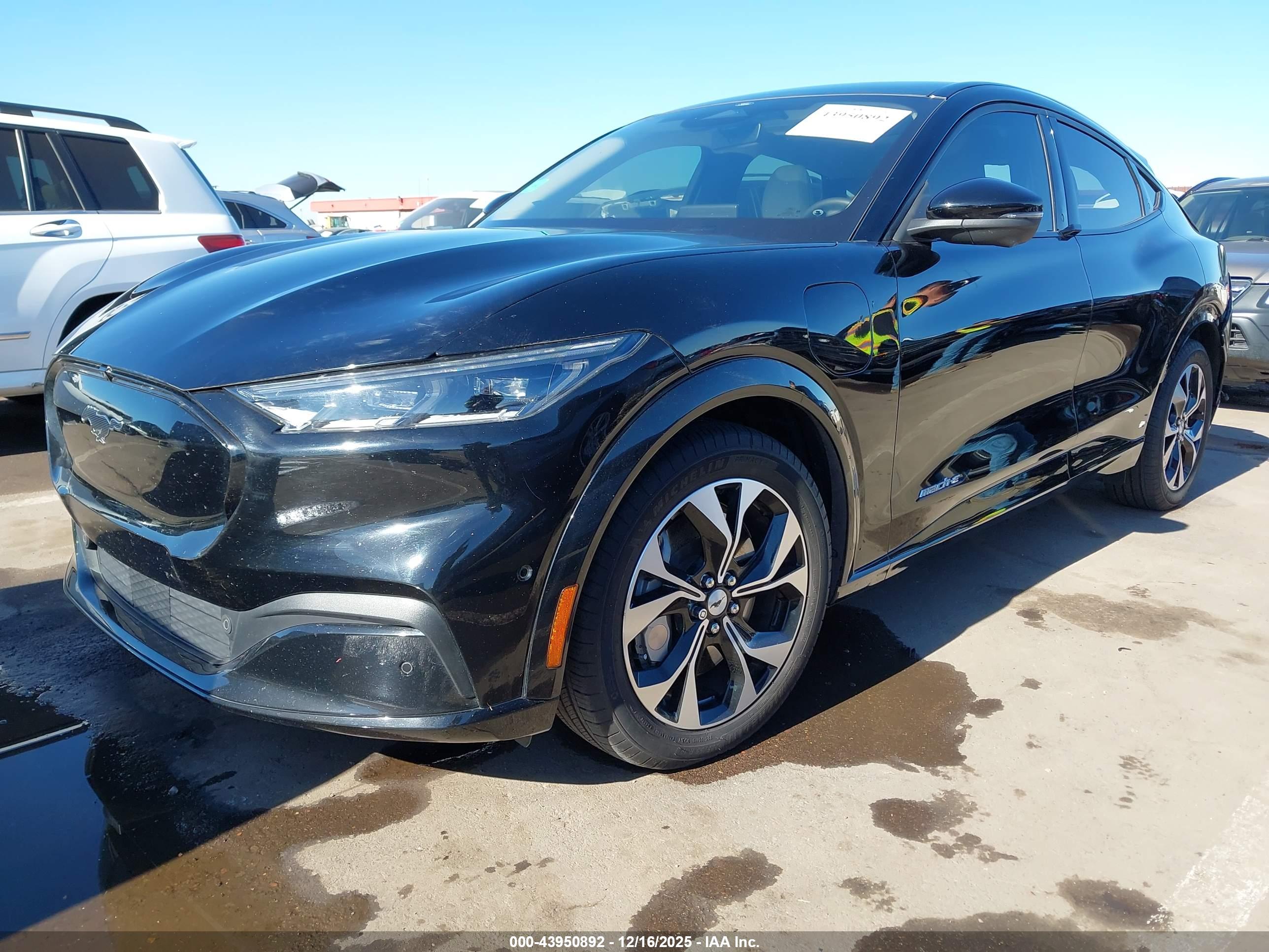 FORD MUSTANG image 2
