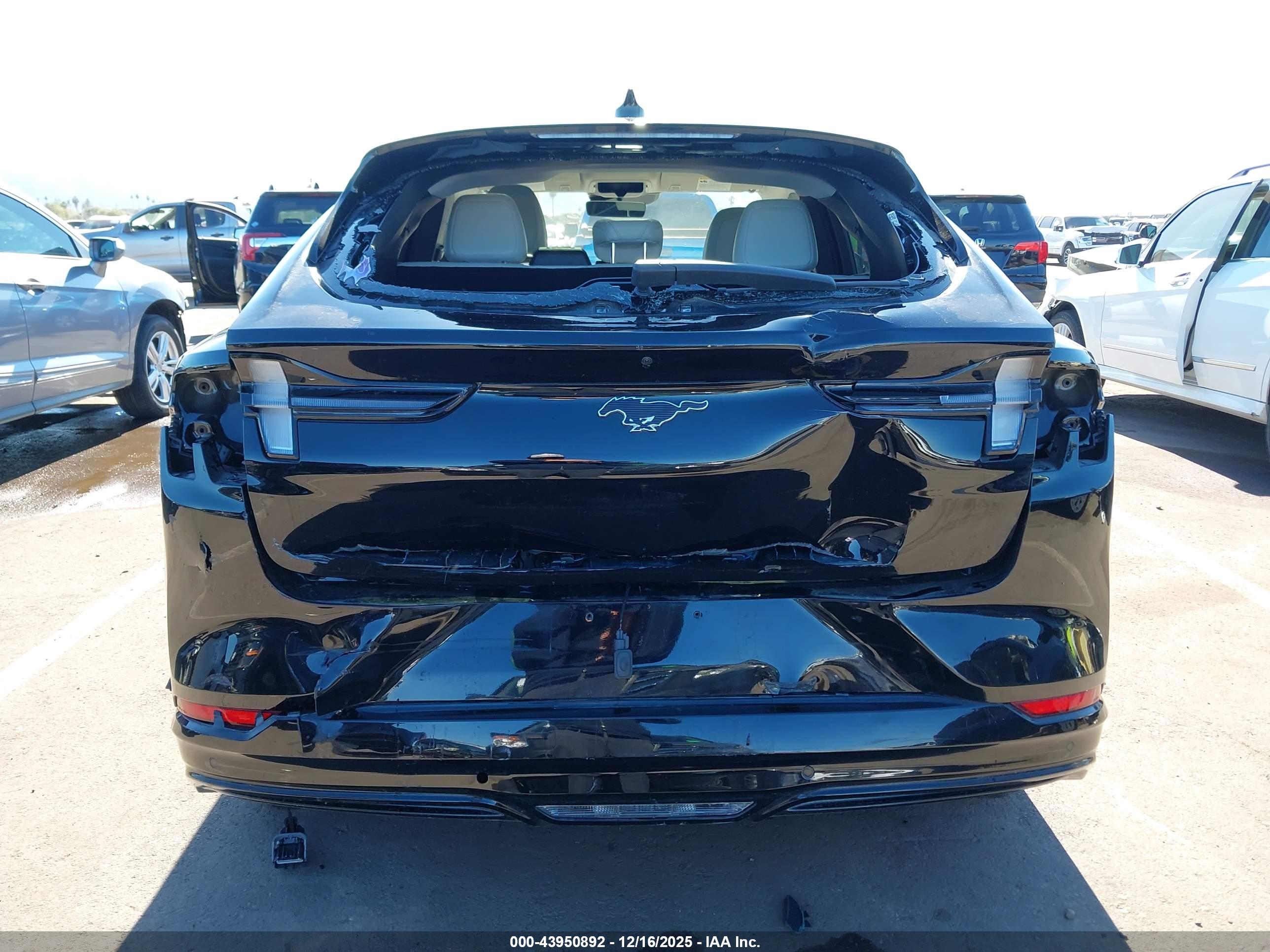 FORD MUSTANG image 6