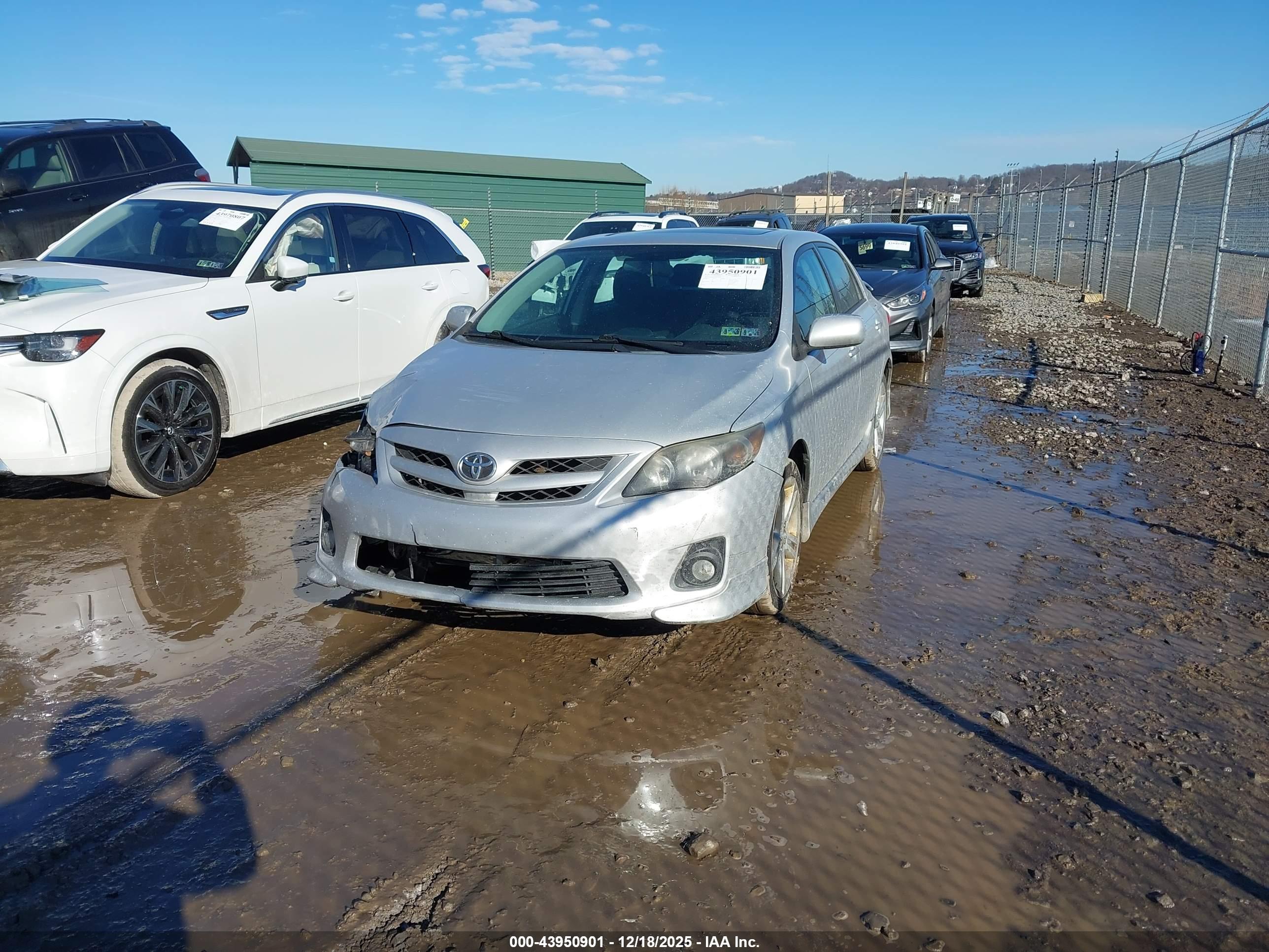 TOYOTA COROLLA image 2