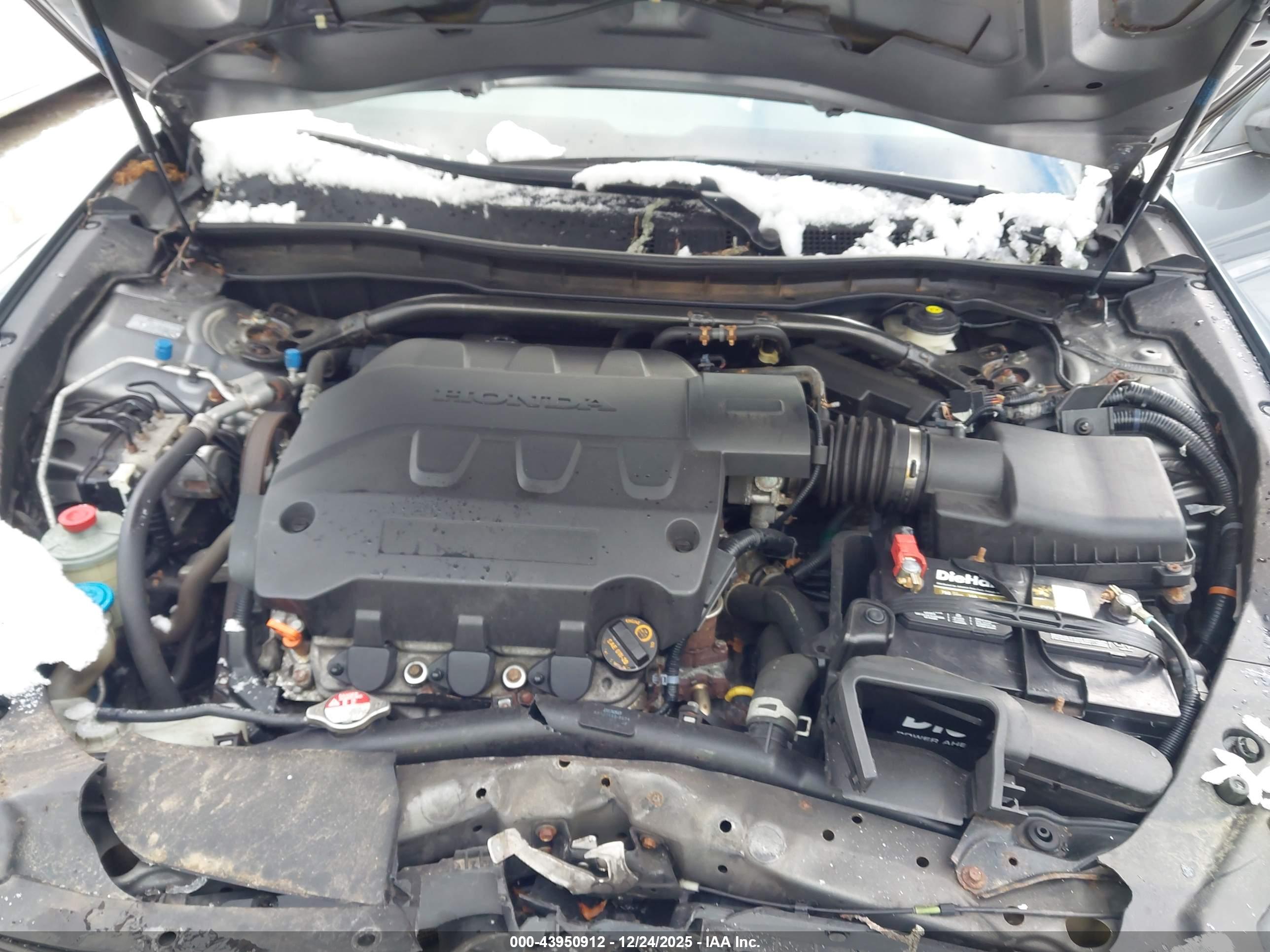 HONDA ACCORD image 10