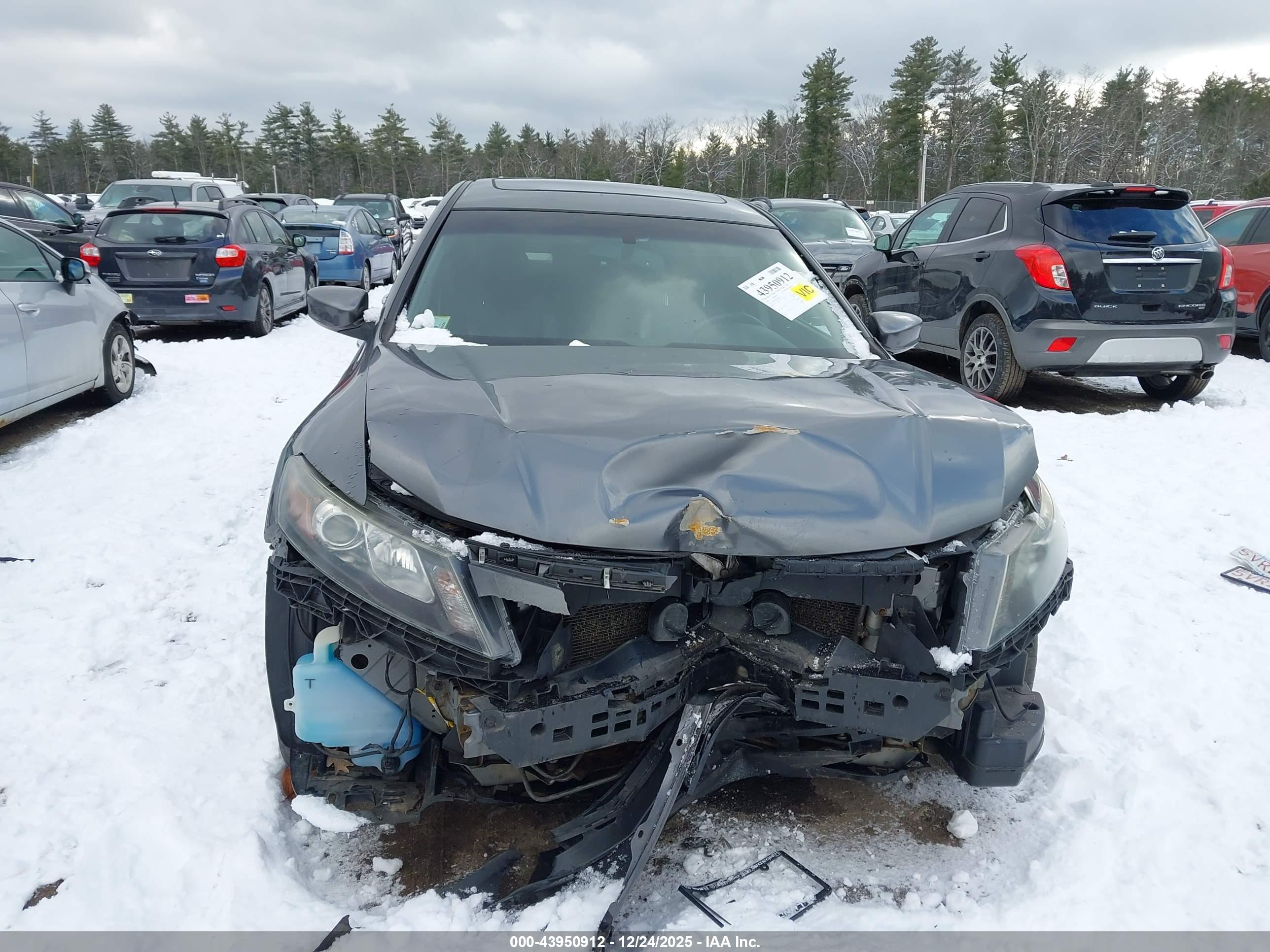 HONDA ACCORD image 6