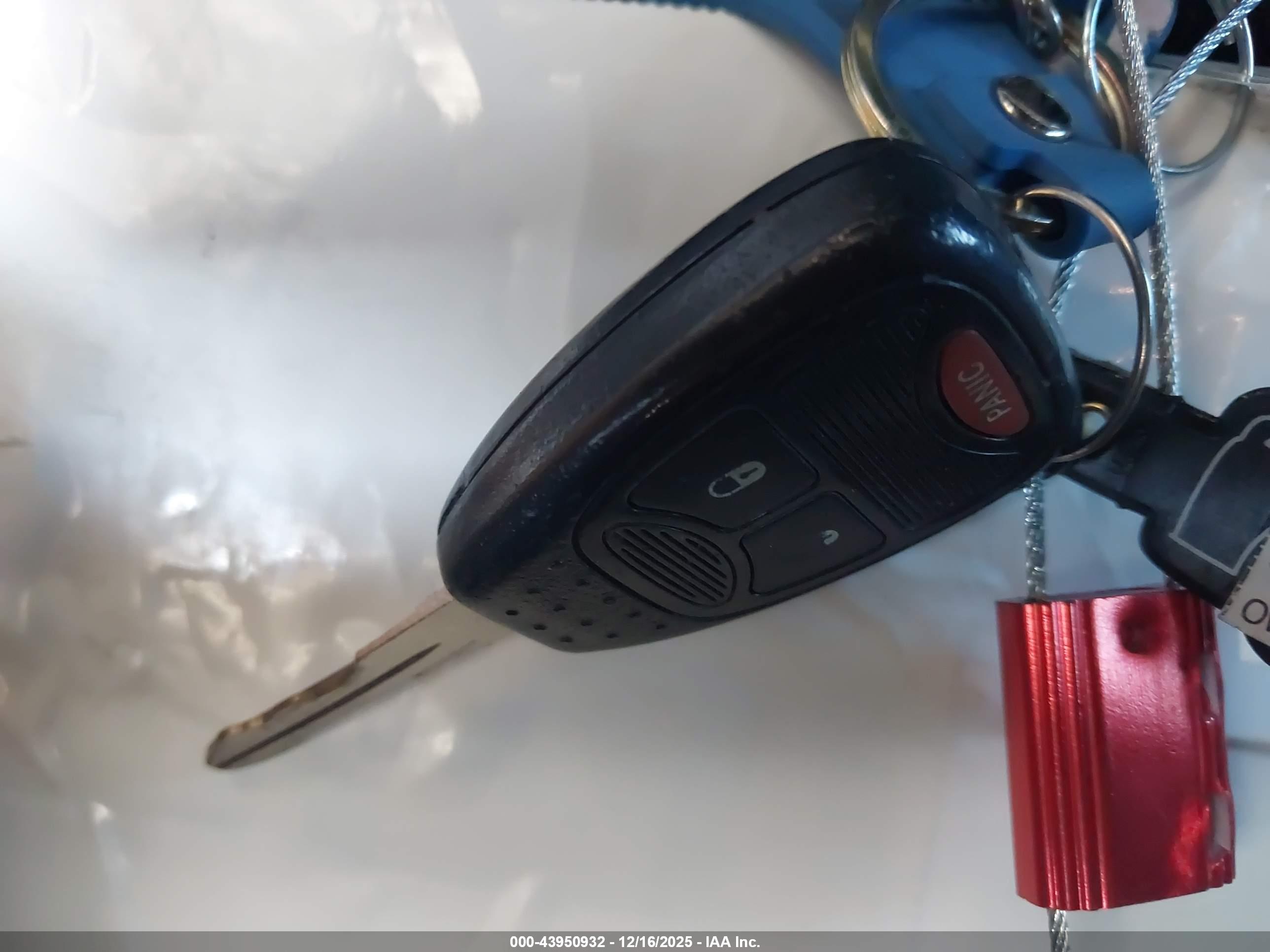 JEEP WRANGLER image 11