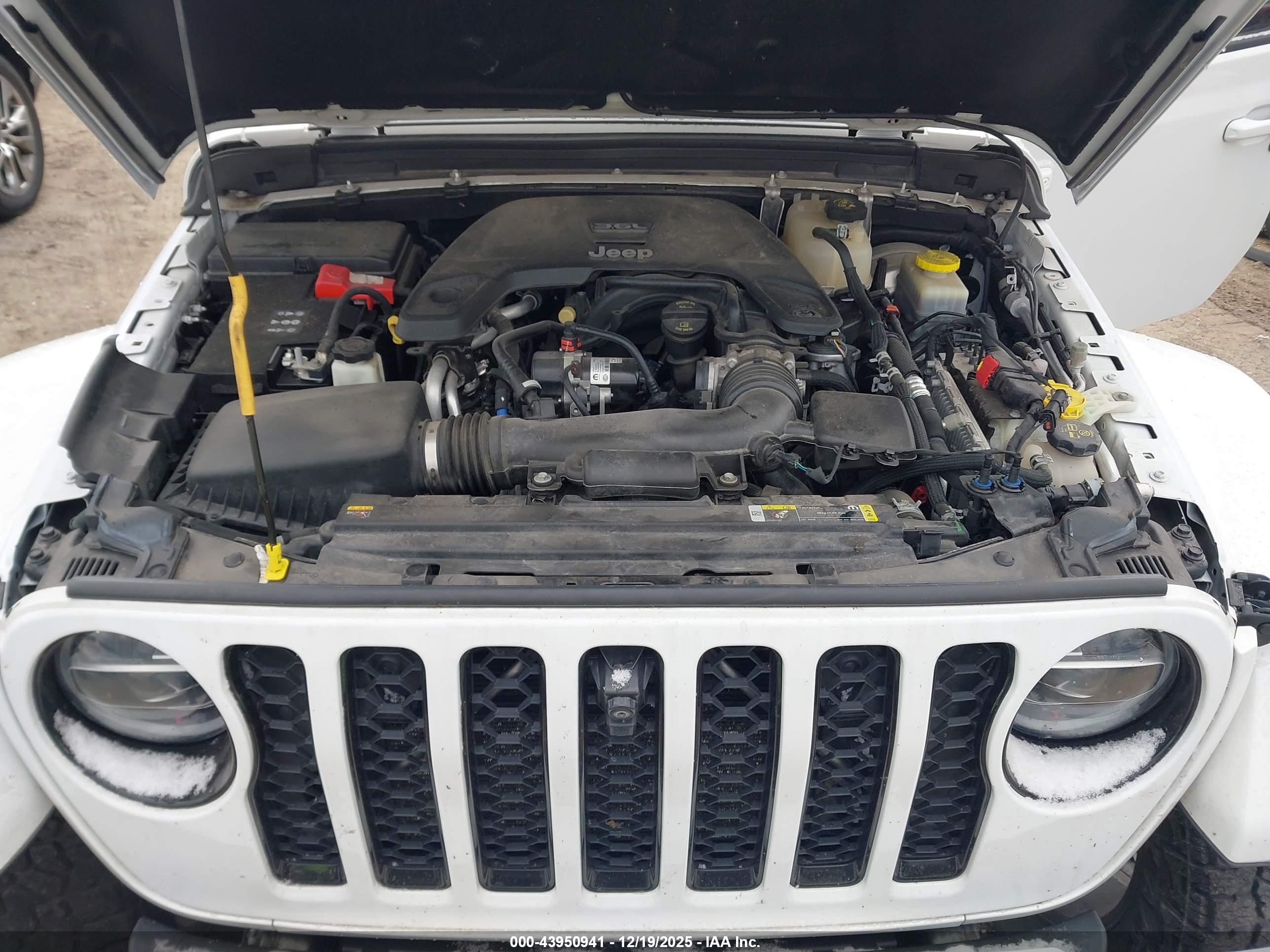 JEEP WRANGLER image 10