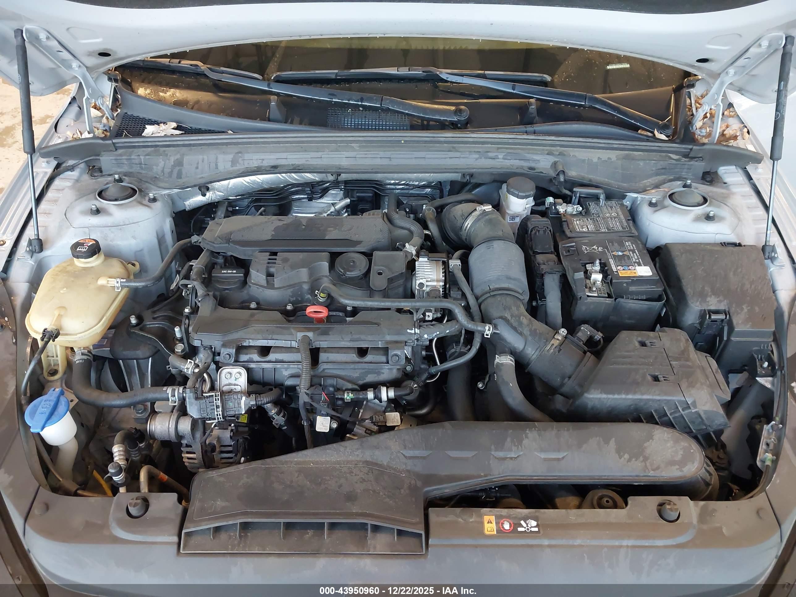 KIA K5 image 10