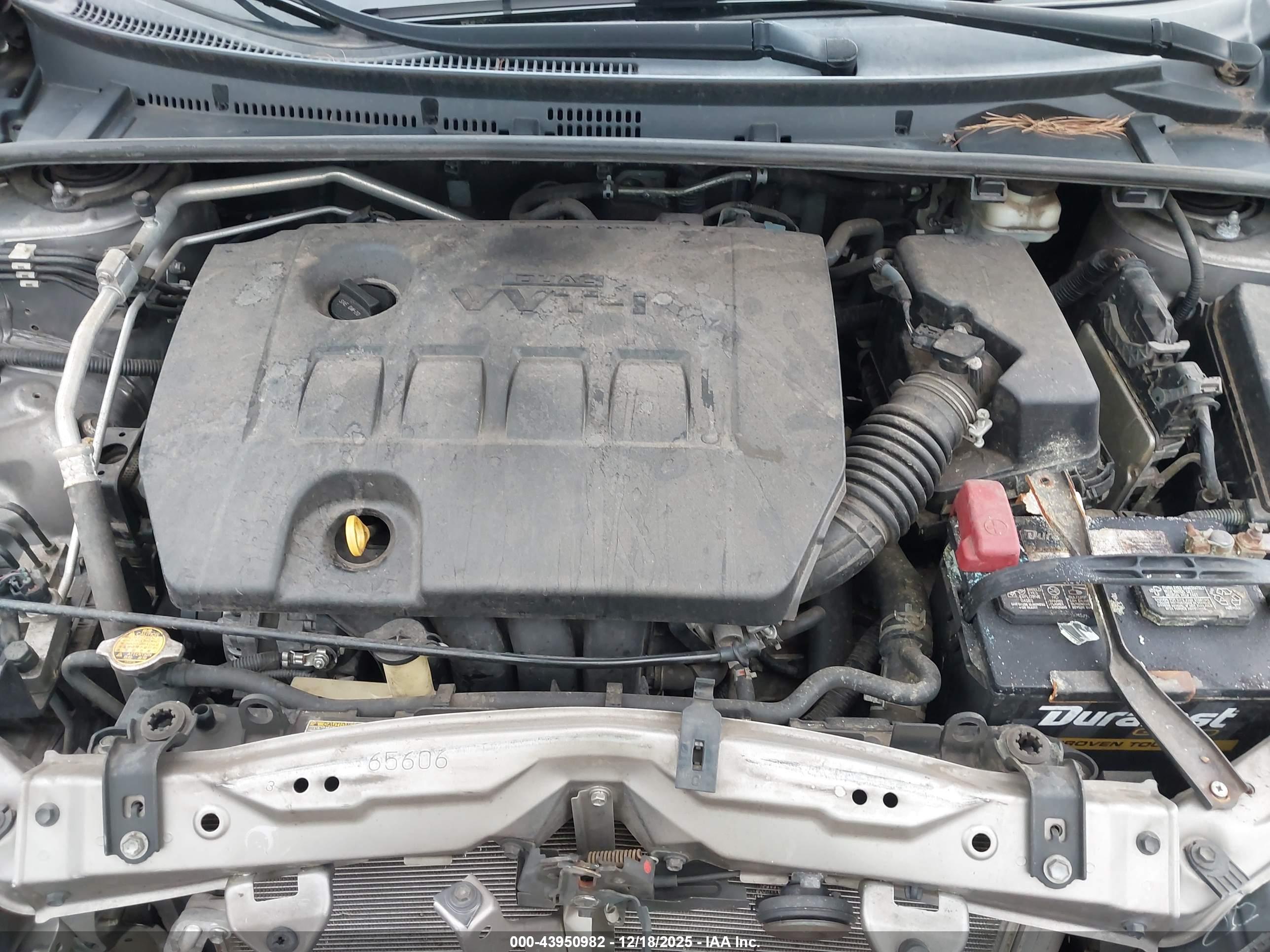 TOYOTA COROLLA image 10