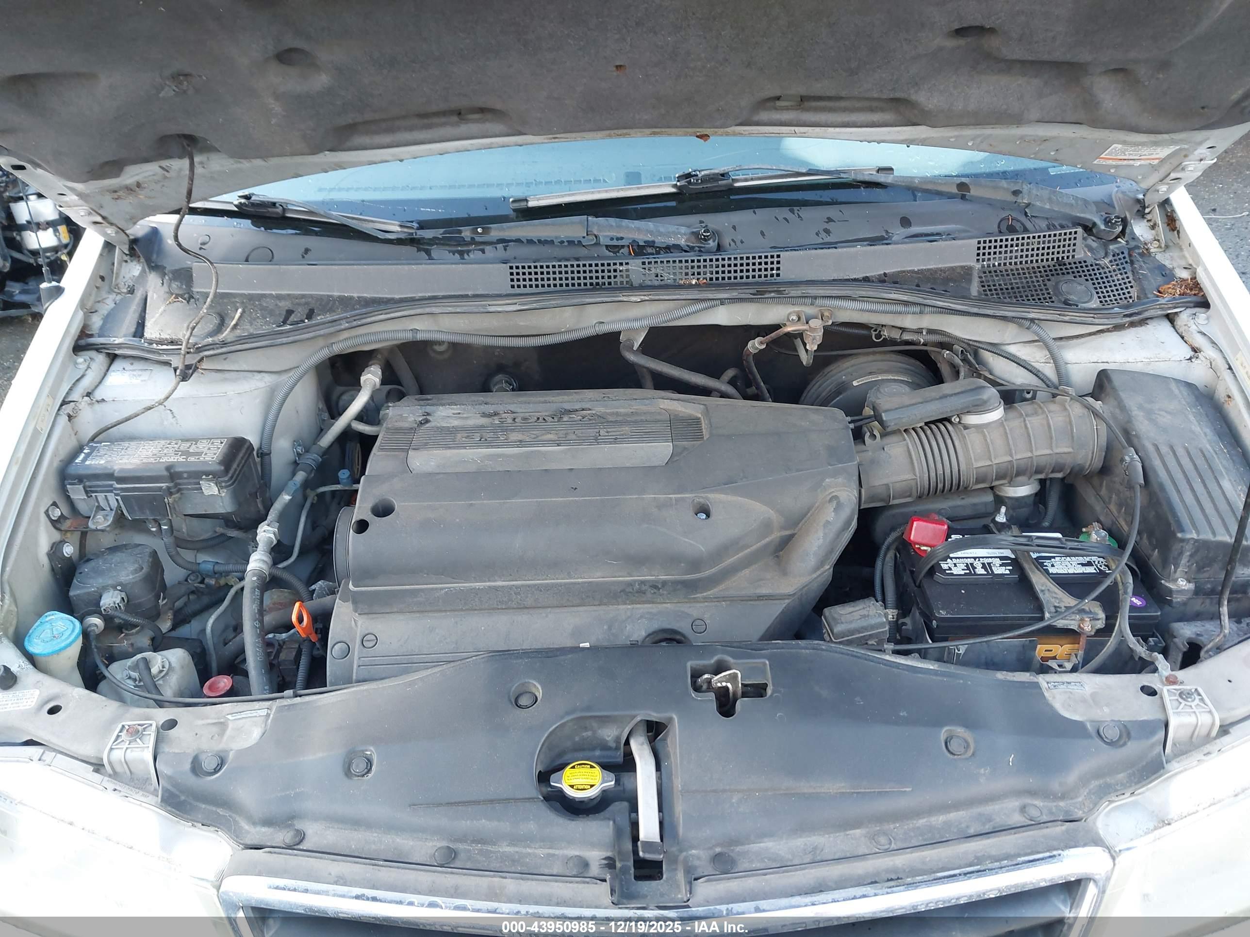 HONDA ODYSSEY image 10