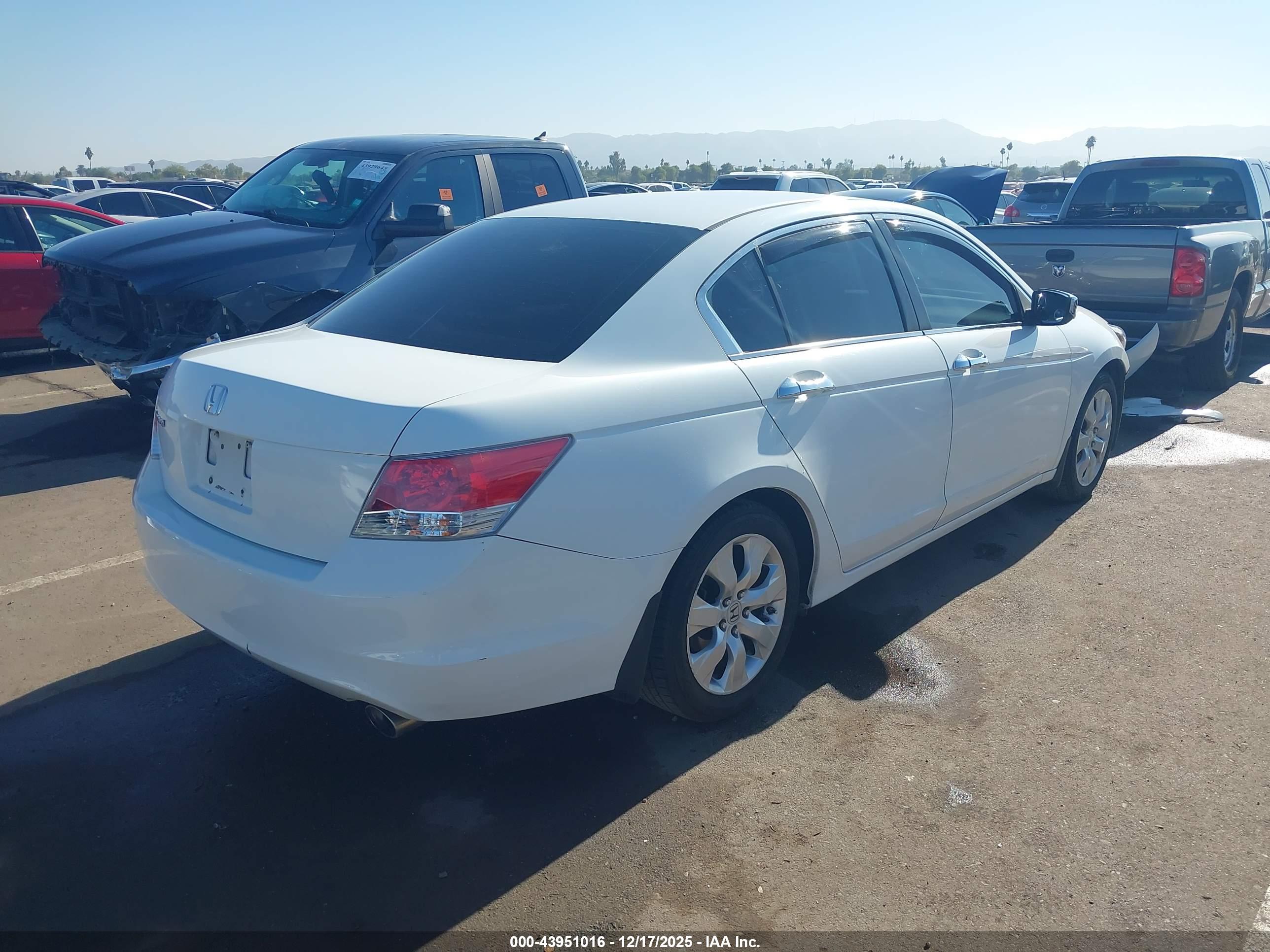 HONDA ACCORD image 4