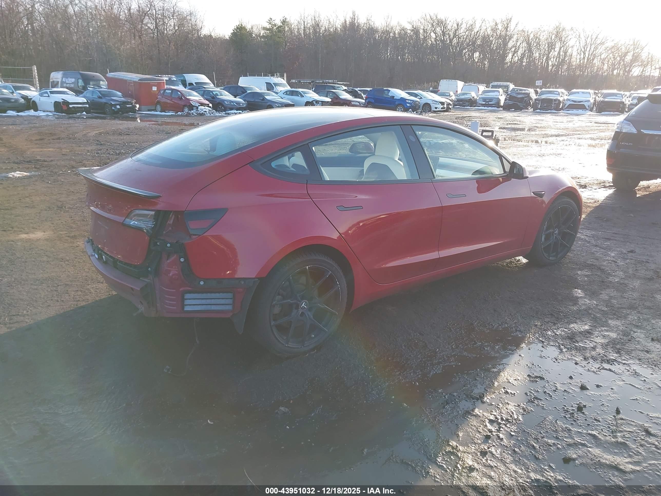 TESLA MODEL image 4