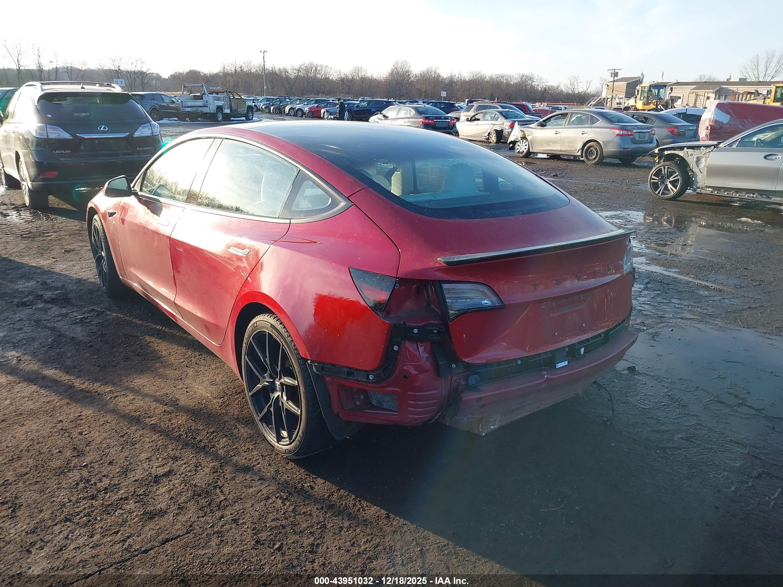 TESLA MODEL image 6