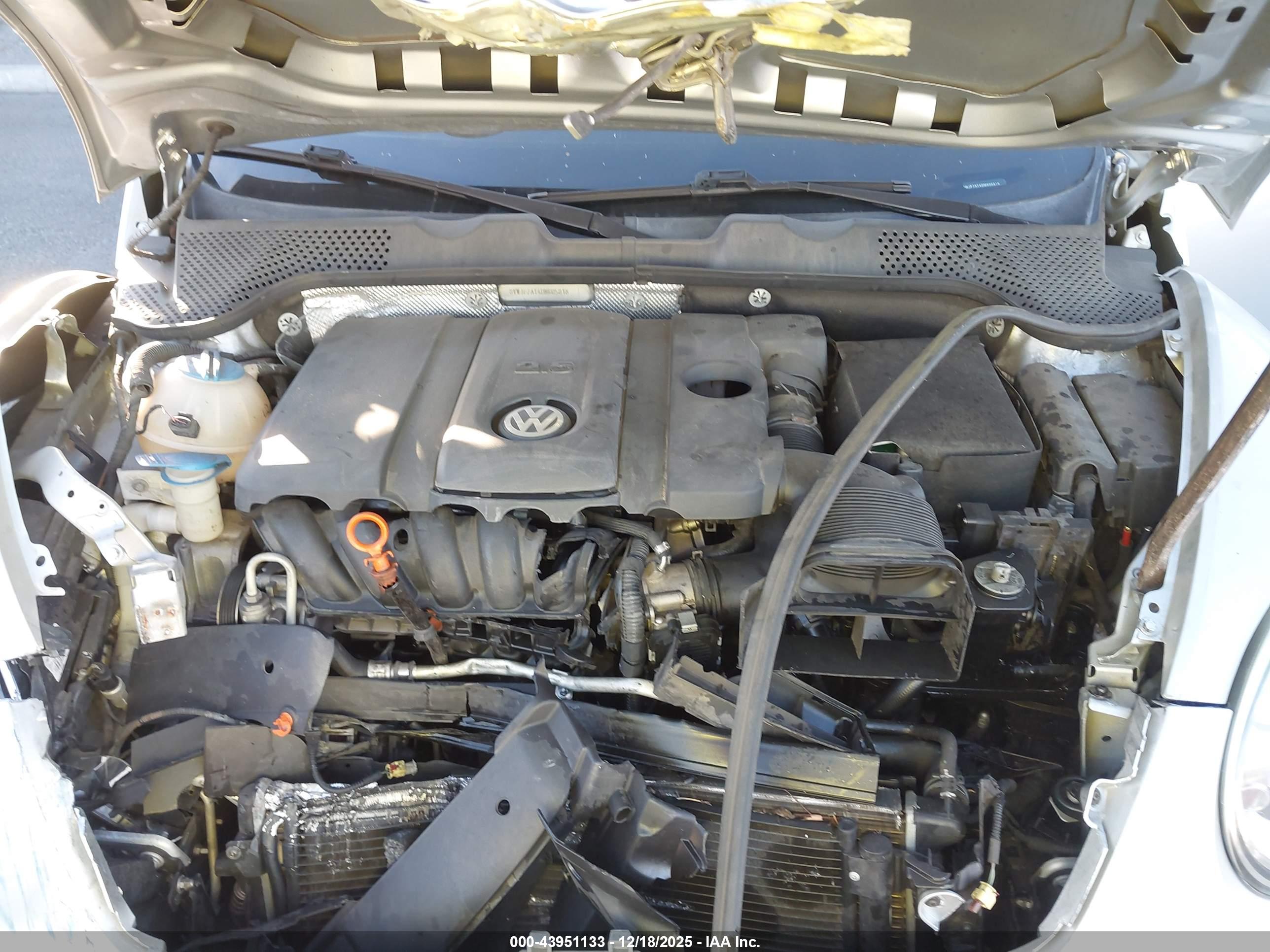 VOLKSWAGEN BEETLE image 10