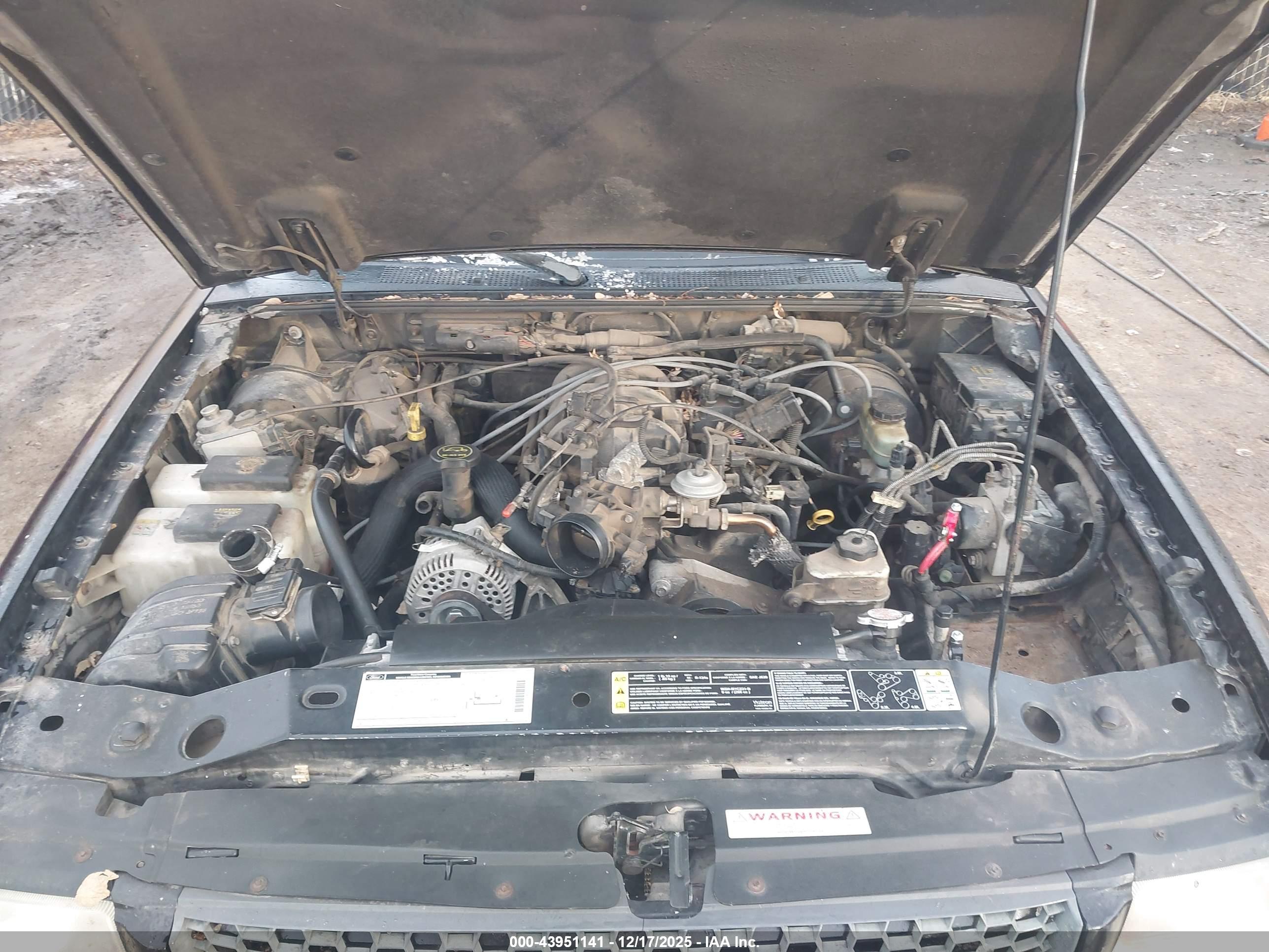 FORD RANGER image 10