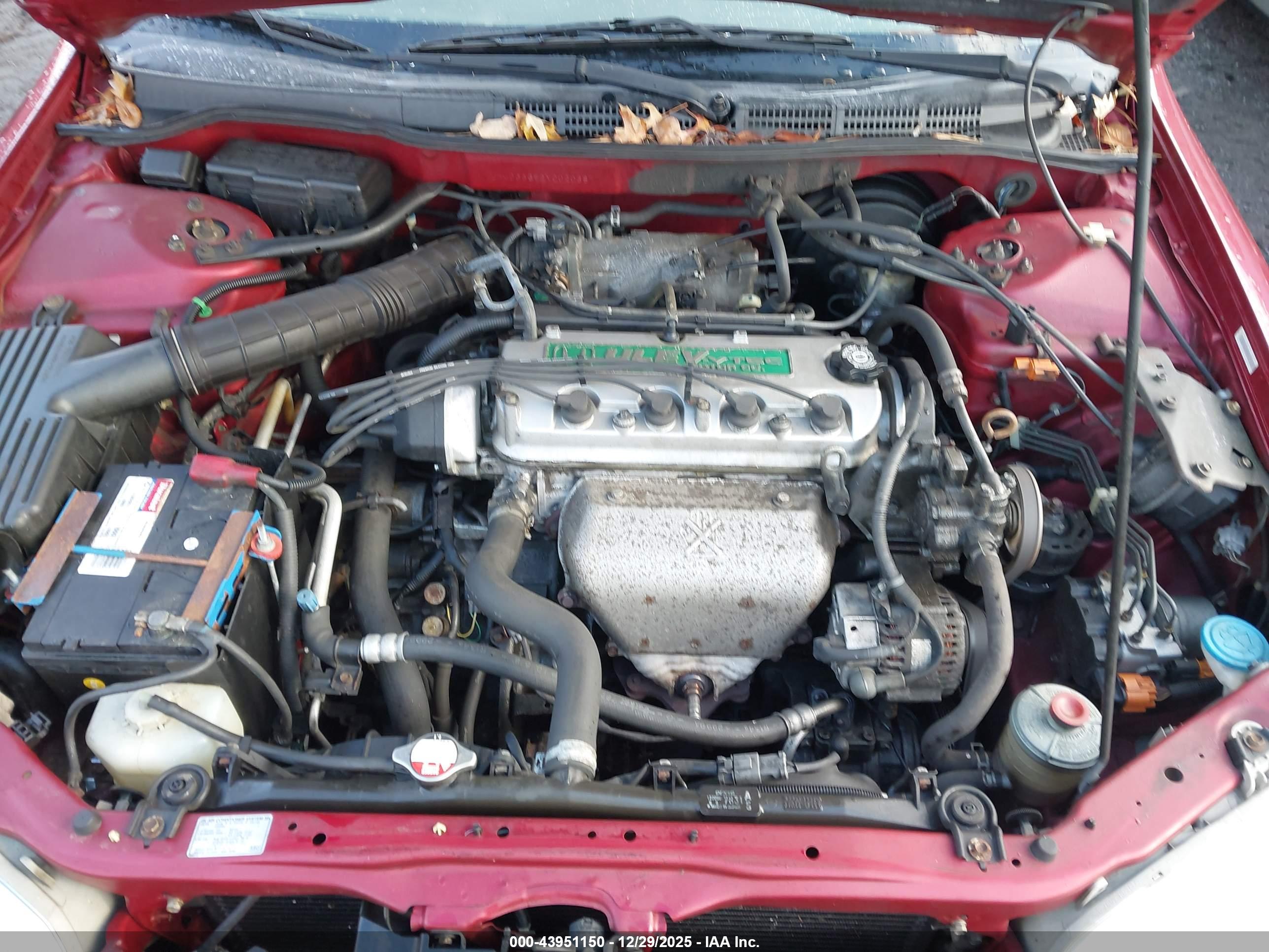 HONDA ACCORD image 10