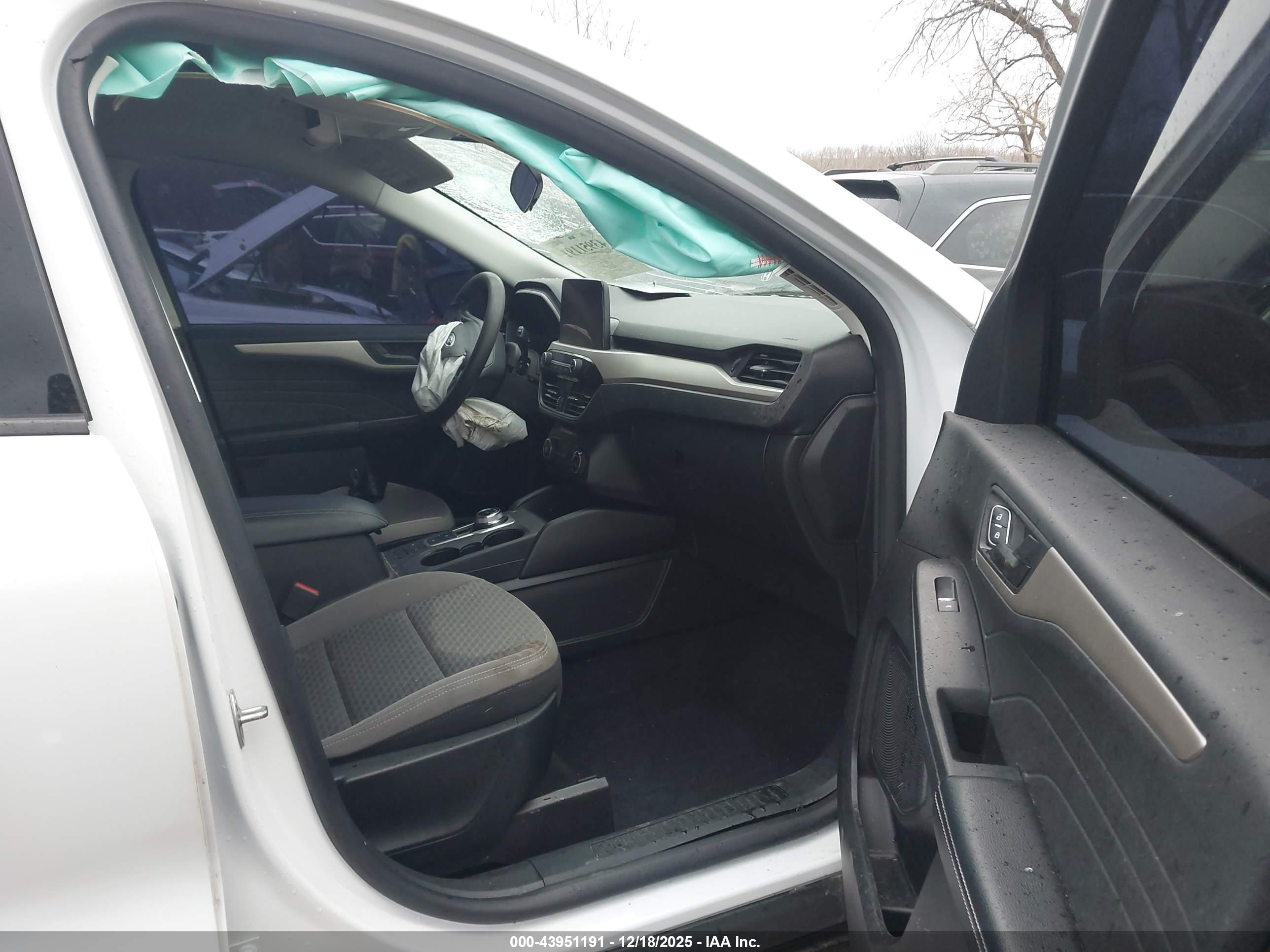 FORD ESCAPE image 5