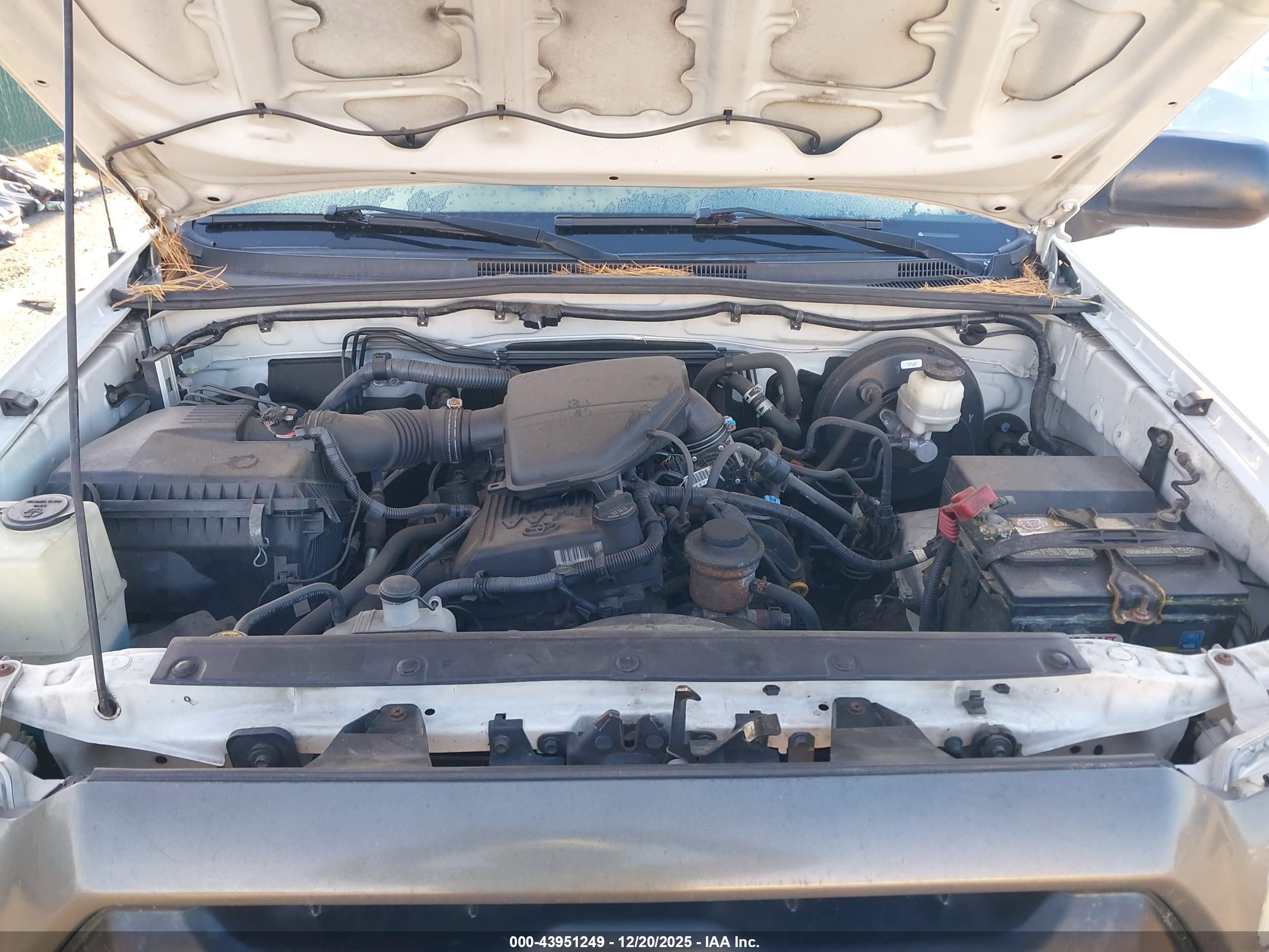 TOYOTA TACOMA image 10
