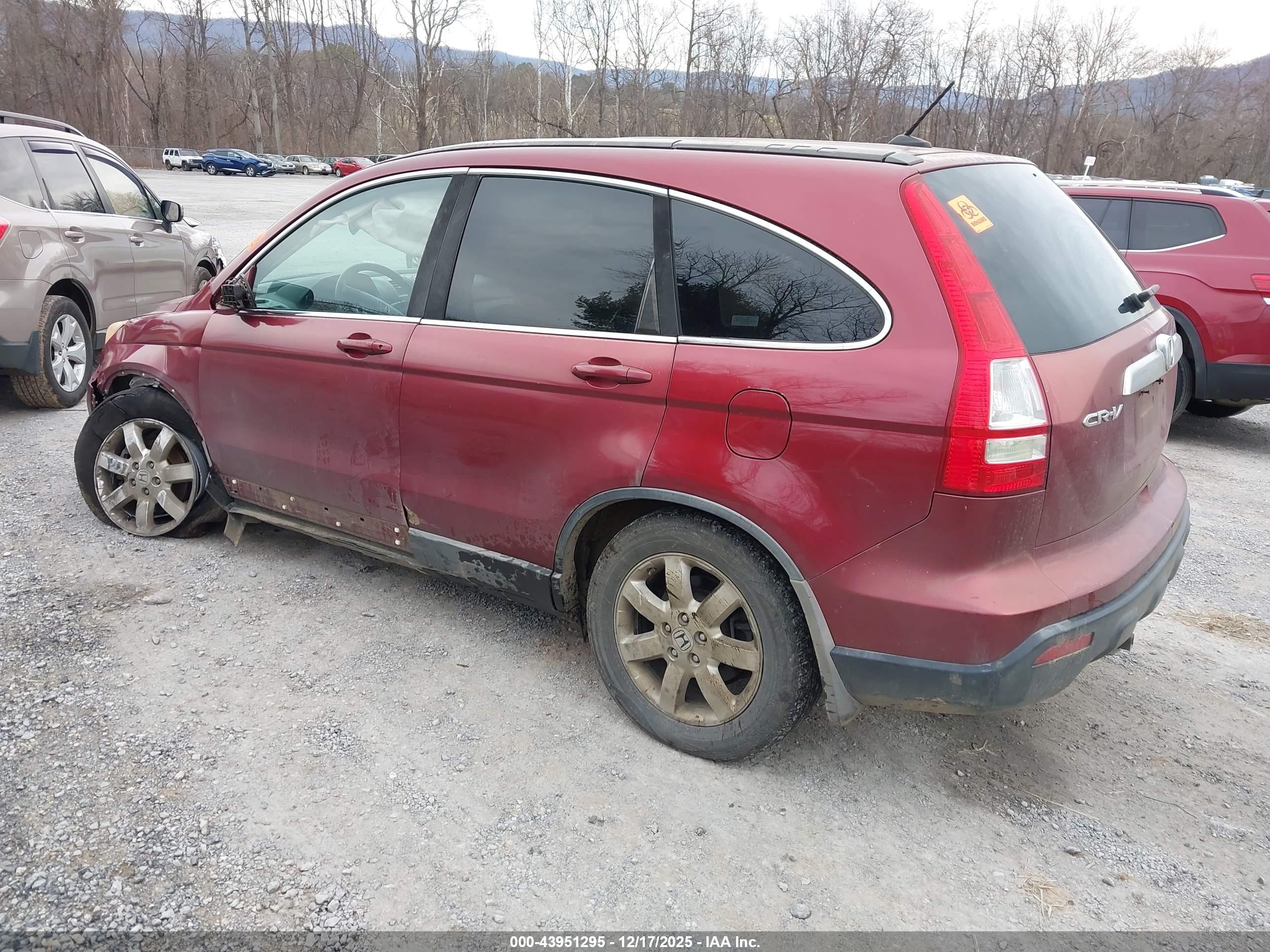 HONDA CR-V image 3