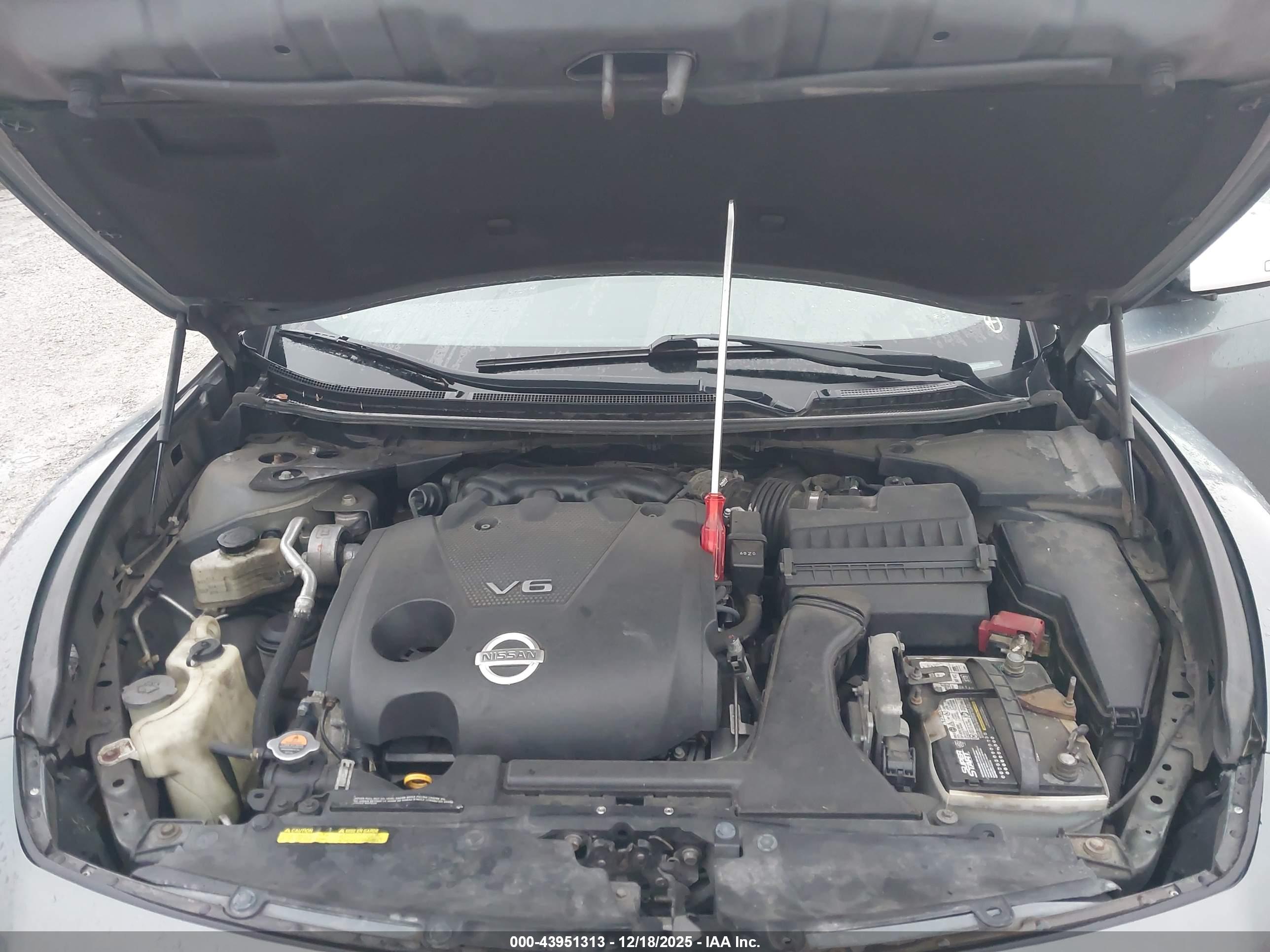 NISSAN MAXIMA image 10