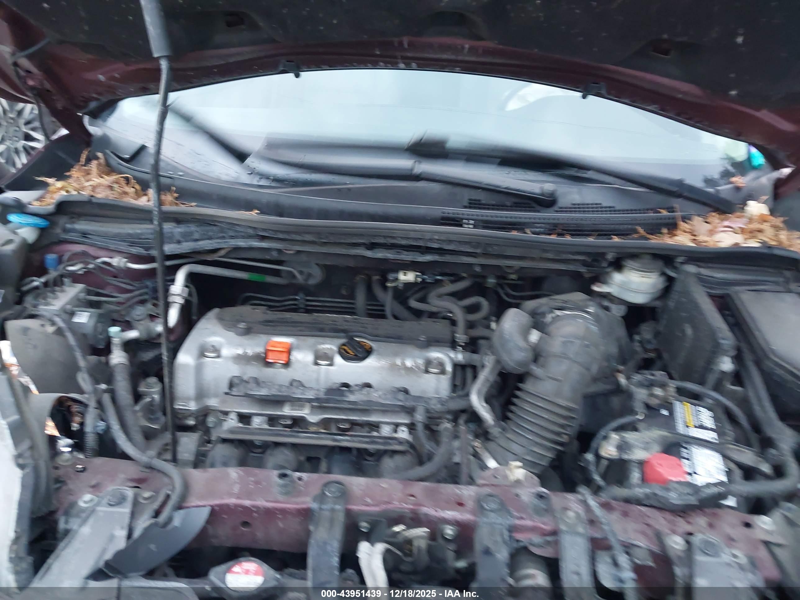 HONDA CR-V image 10