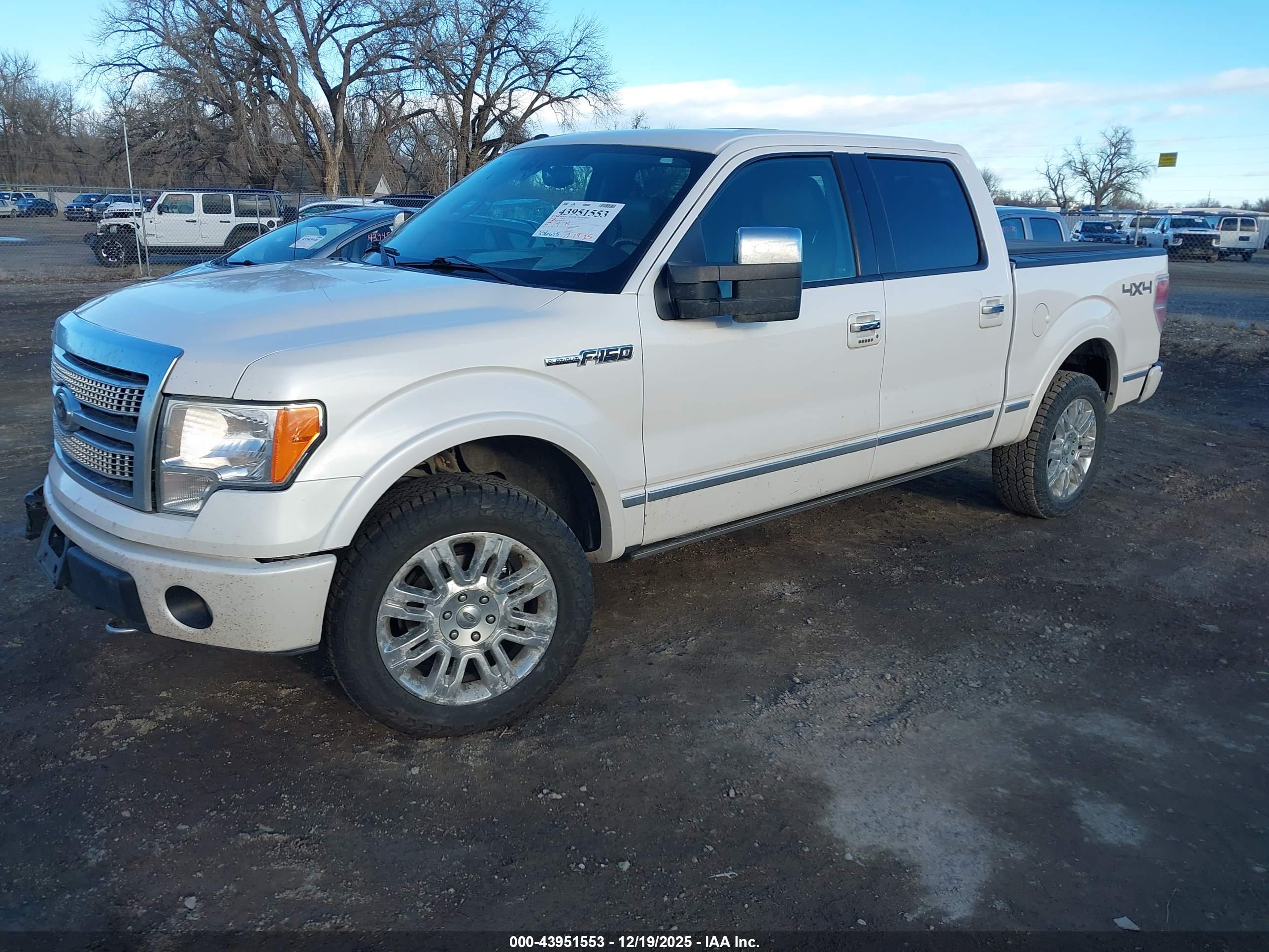 FORD F-150 image 2