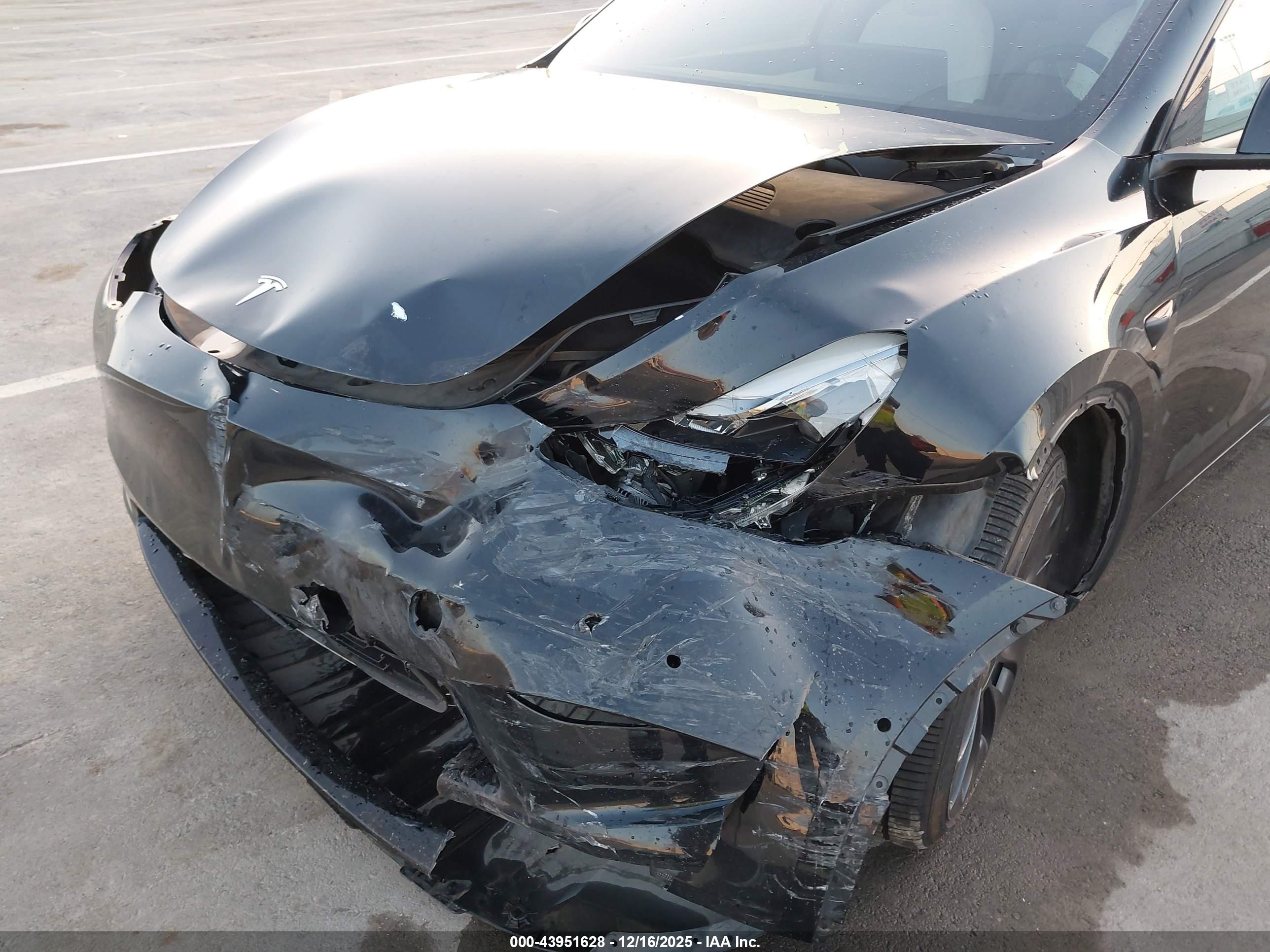 TESLA MODEL image 6