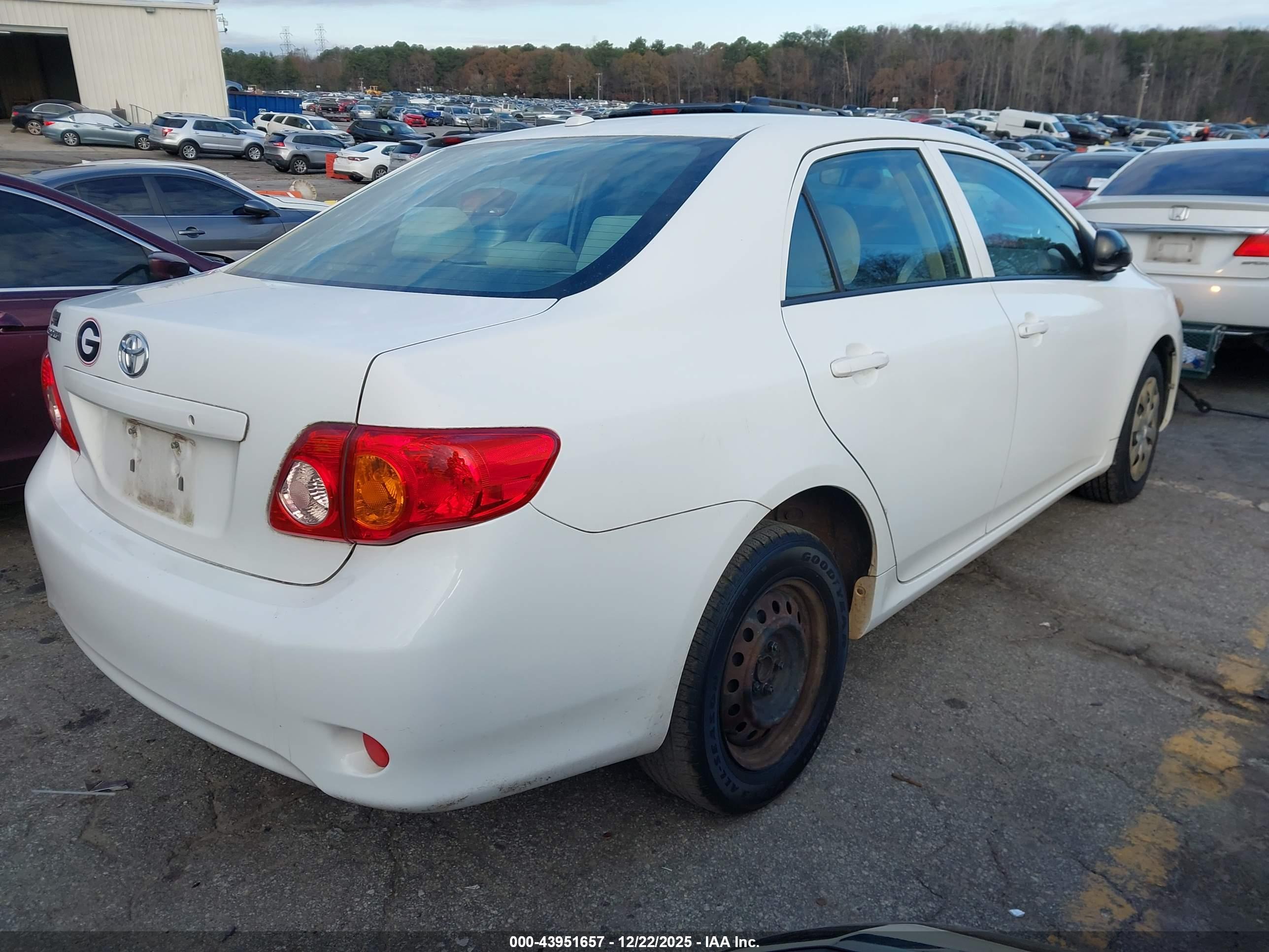 TOYOTA COROLLA image 4