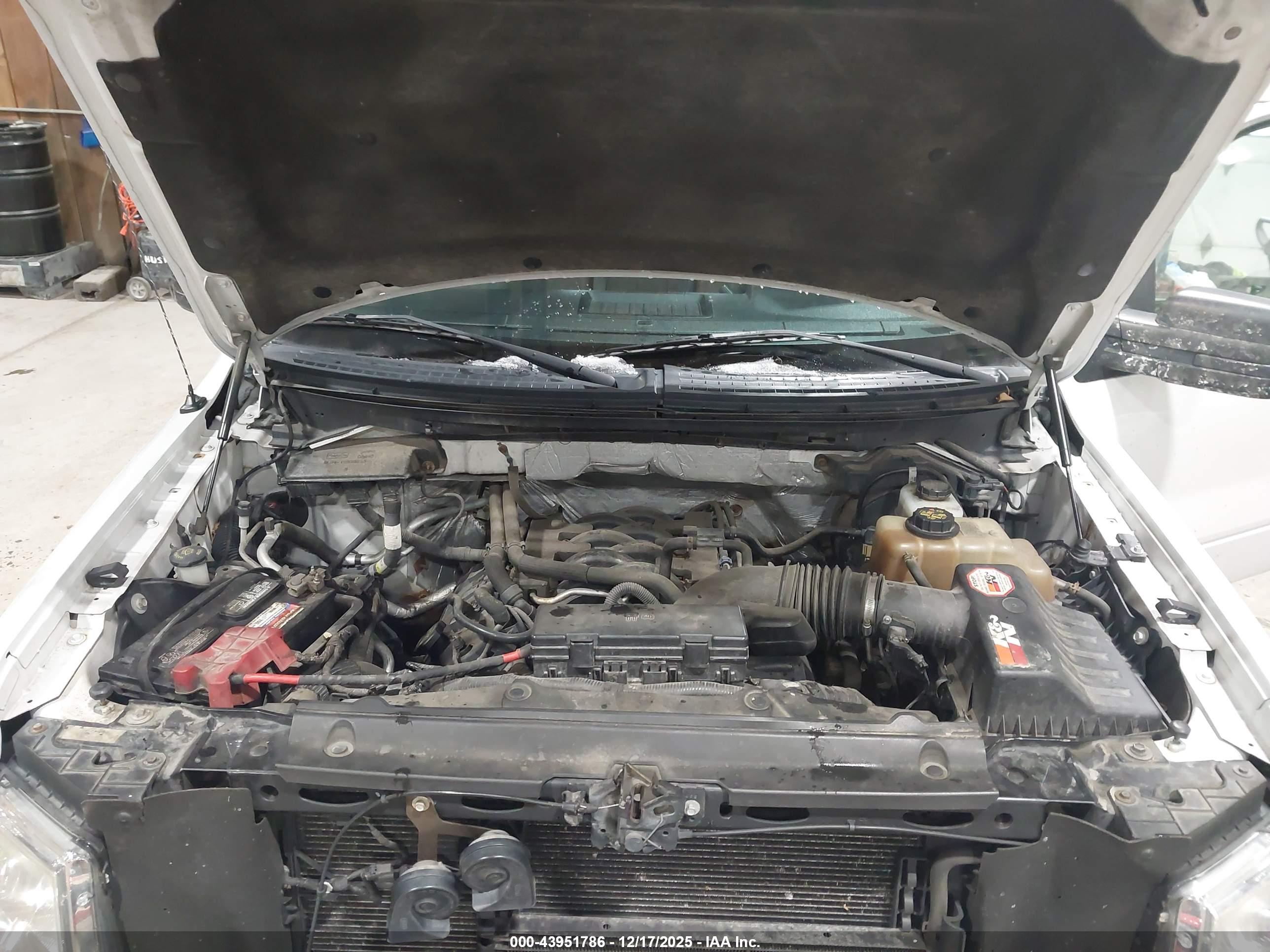 FORD F-150 image 10