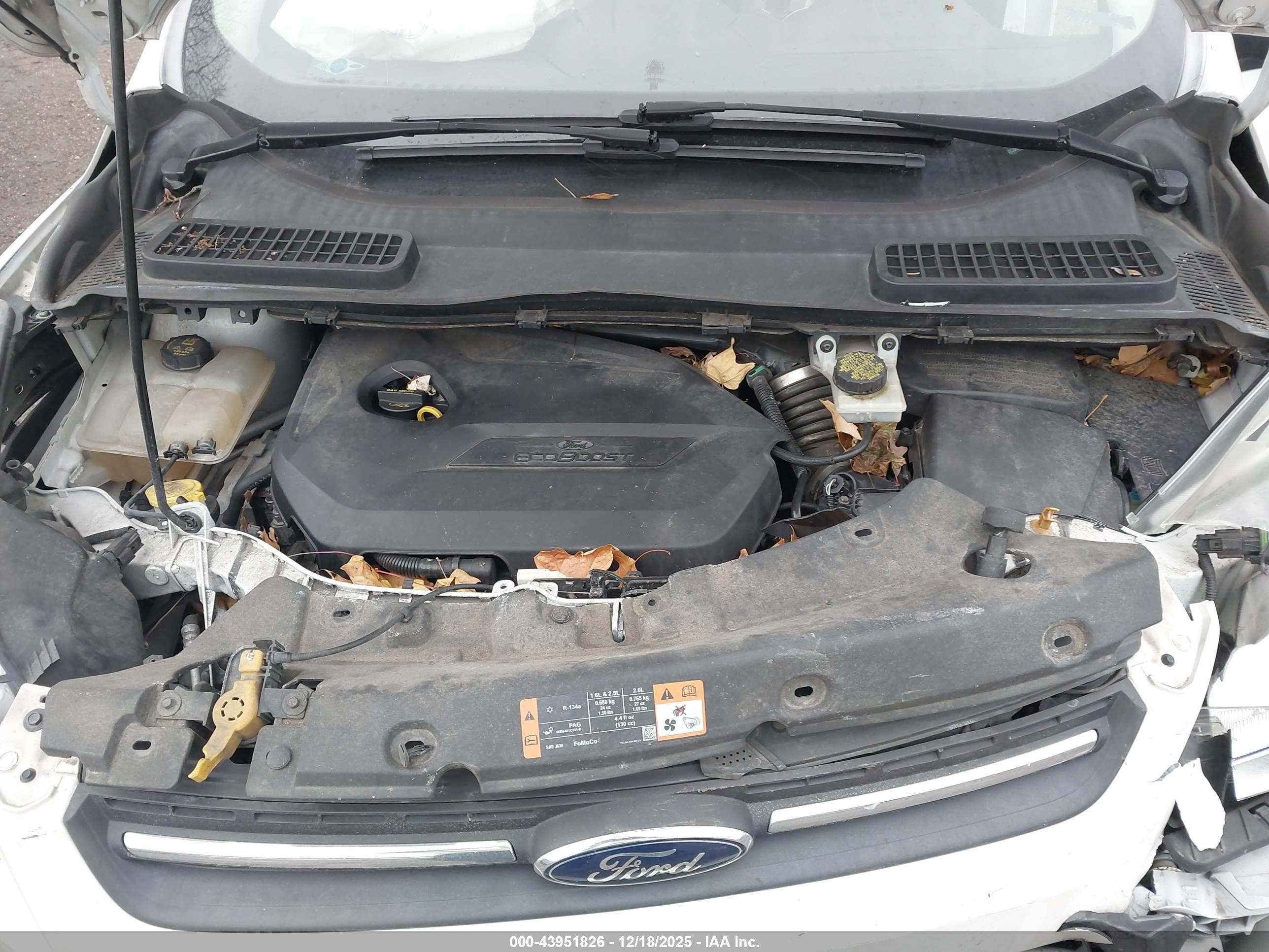 FORD ESCAPE image 10